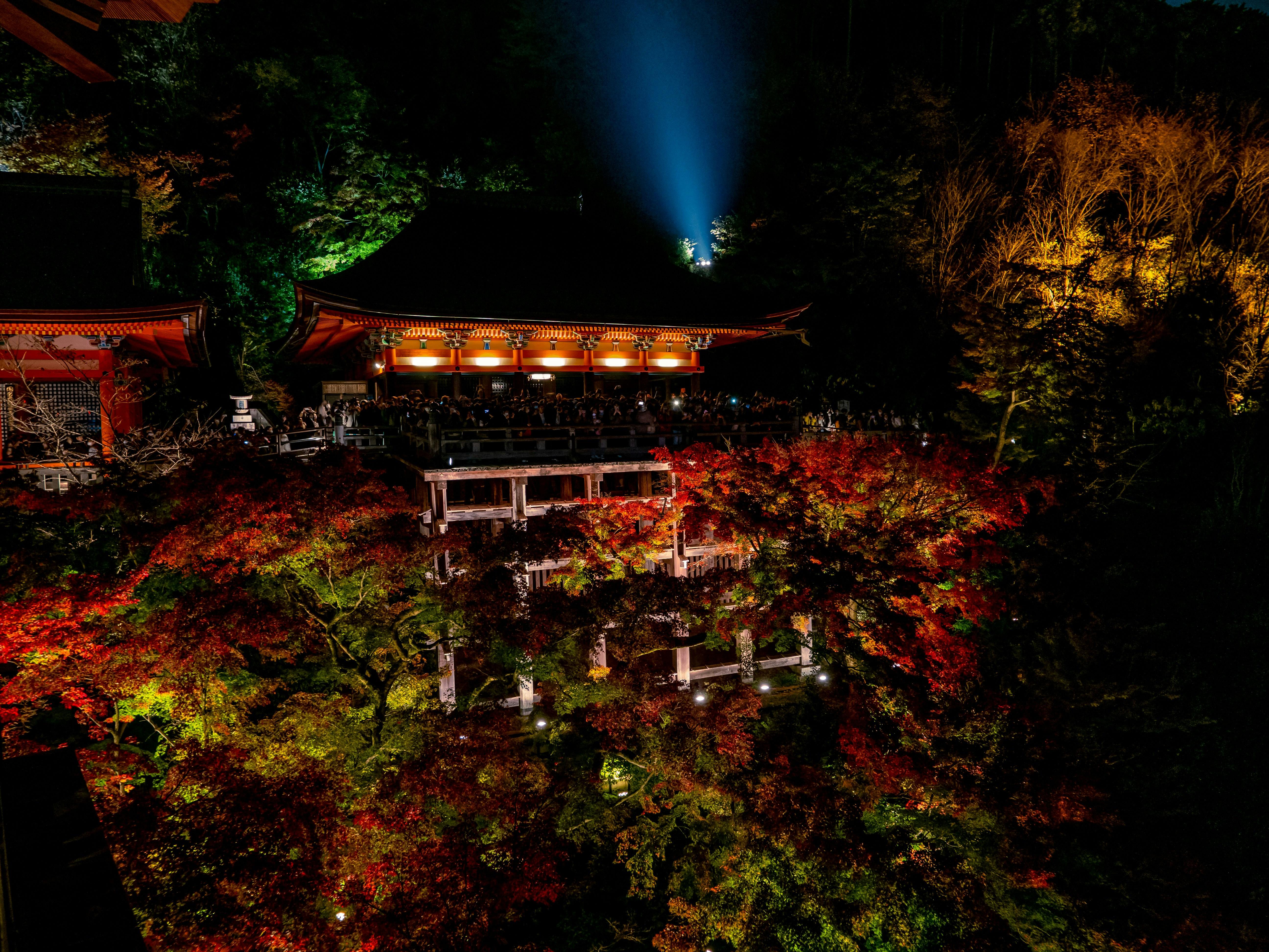 Tokyo to Nikko: Private Luxury Day Trip to UNESCO World Heritage Sites