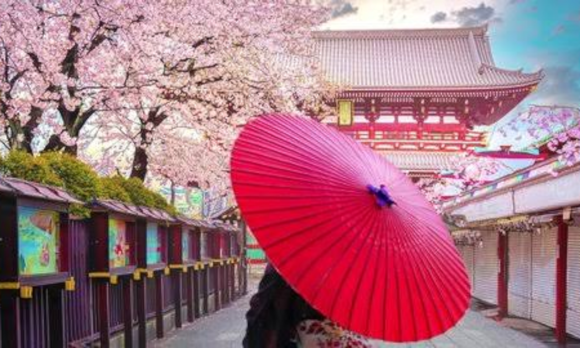 Tokyo Full-Day Private Guided Tour with Hotel Transfers