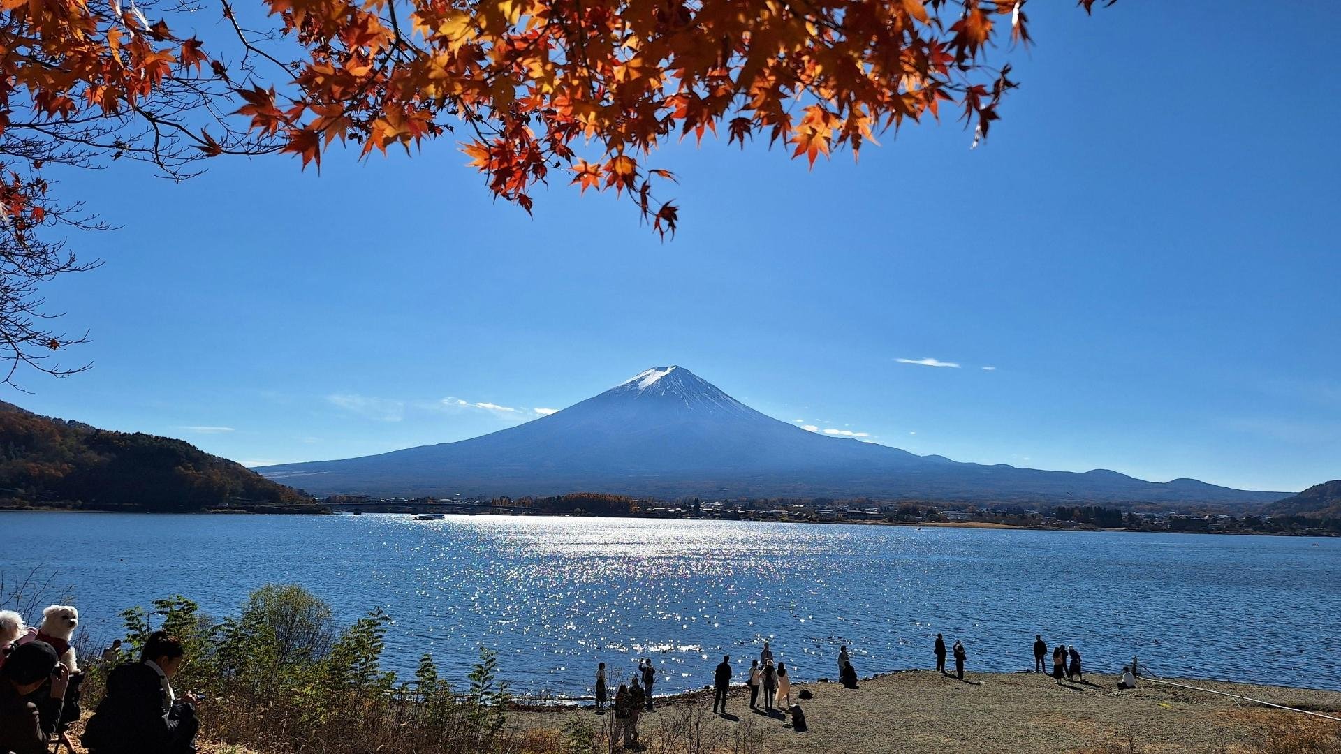 Mt. Fuji Iconic Views & Photography Day Trip from Tokyo