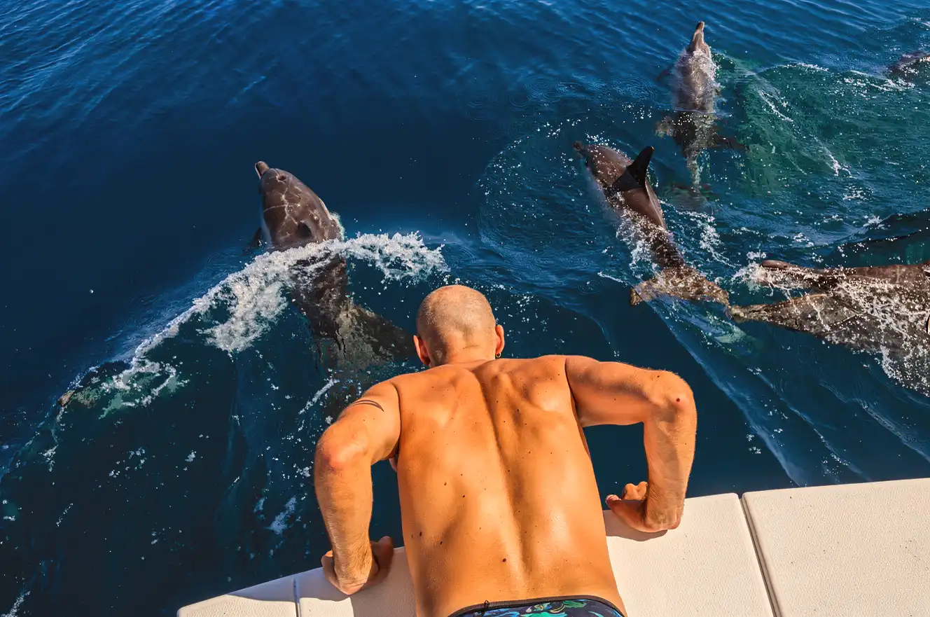 Private Catamaran Dolphin Watching Experience
