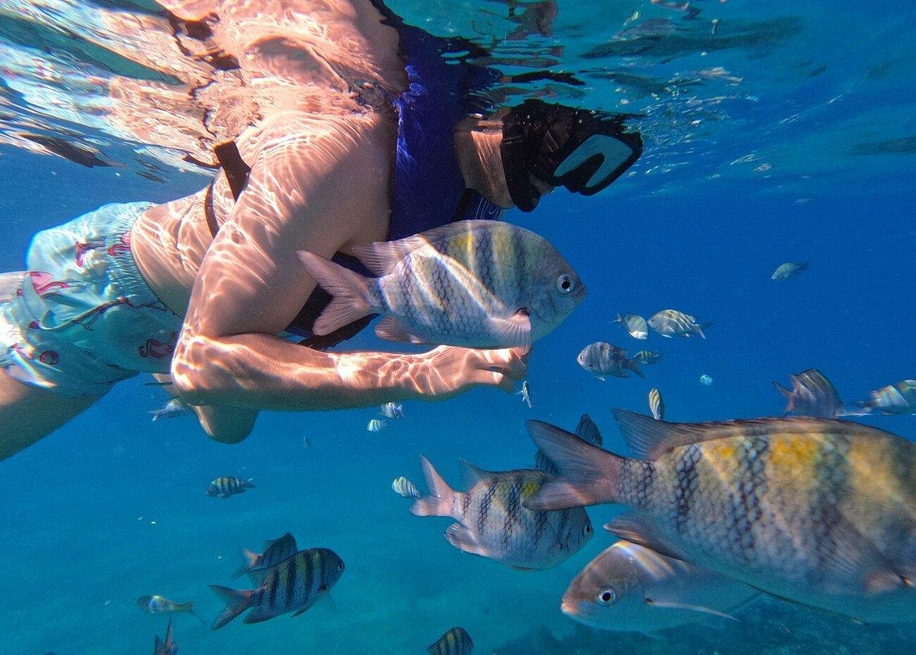 Private Sosua Bay Snorkeling & Beach Day