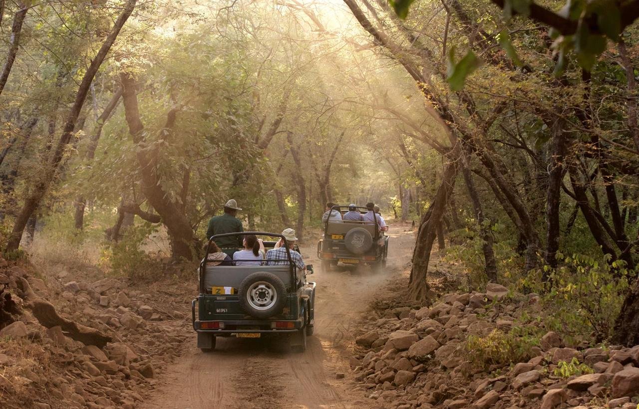 3-Day Ranthambore Tiger Safari Expedition from Delhi