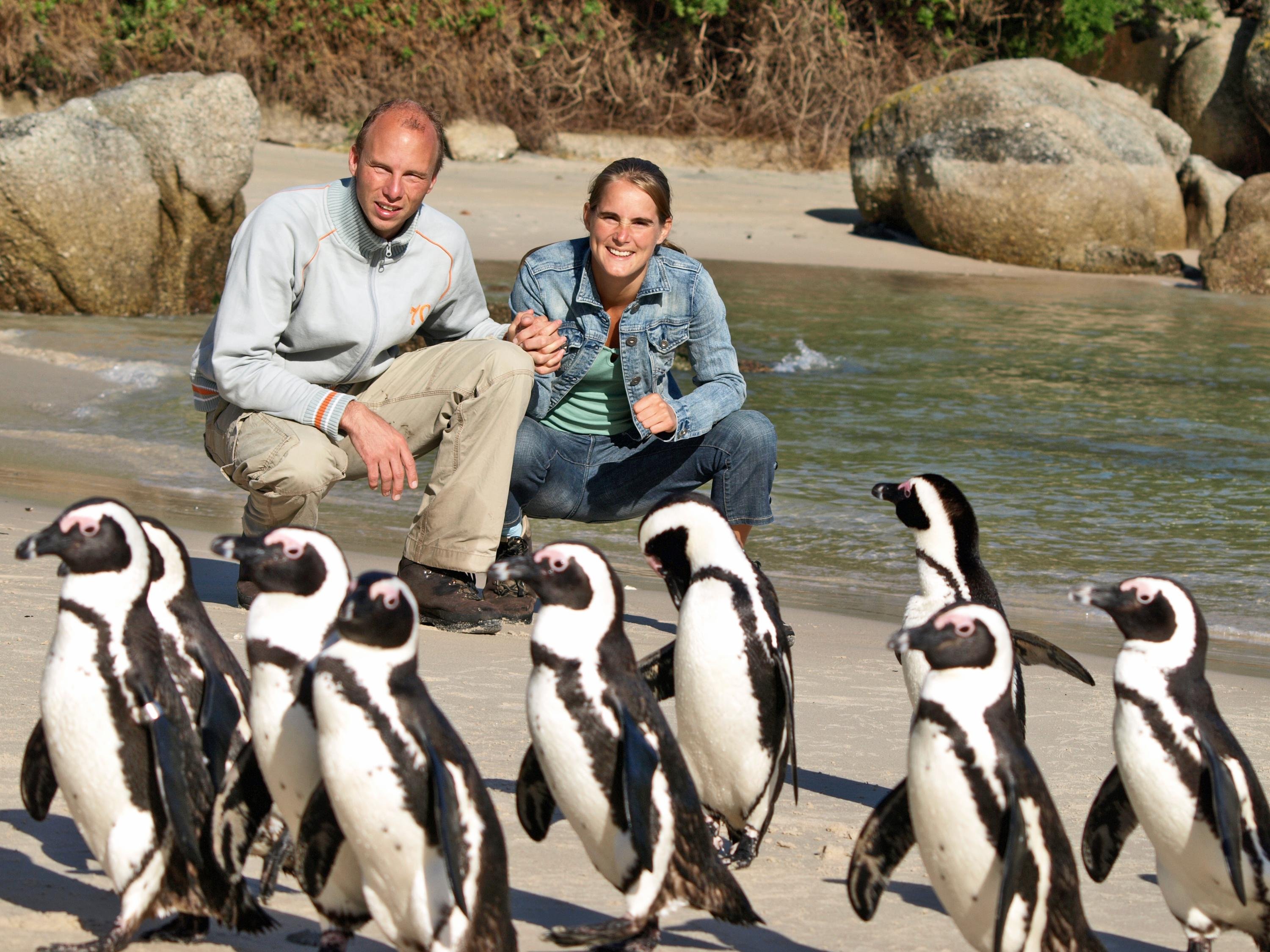 Cape of Good Hope, Penguins & Coastal Highlights Day Tour from Cape Town