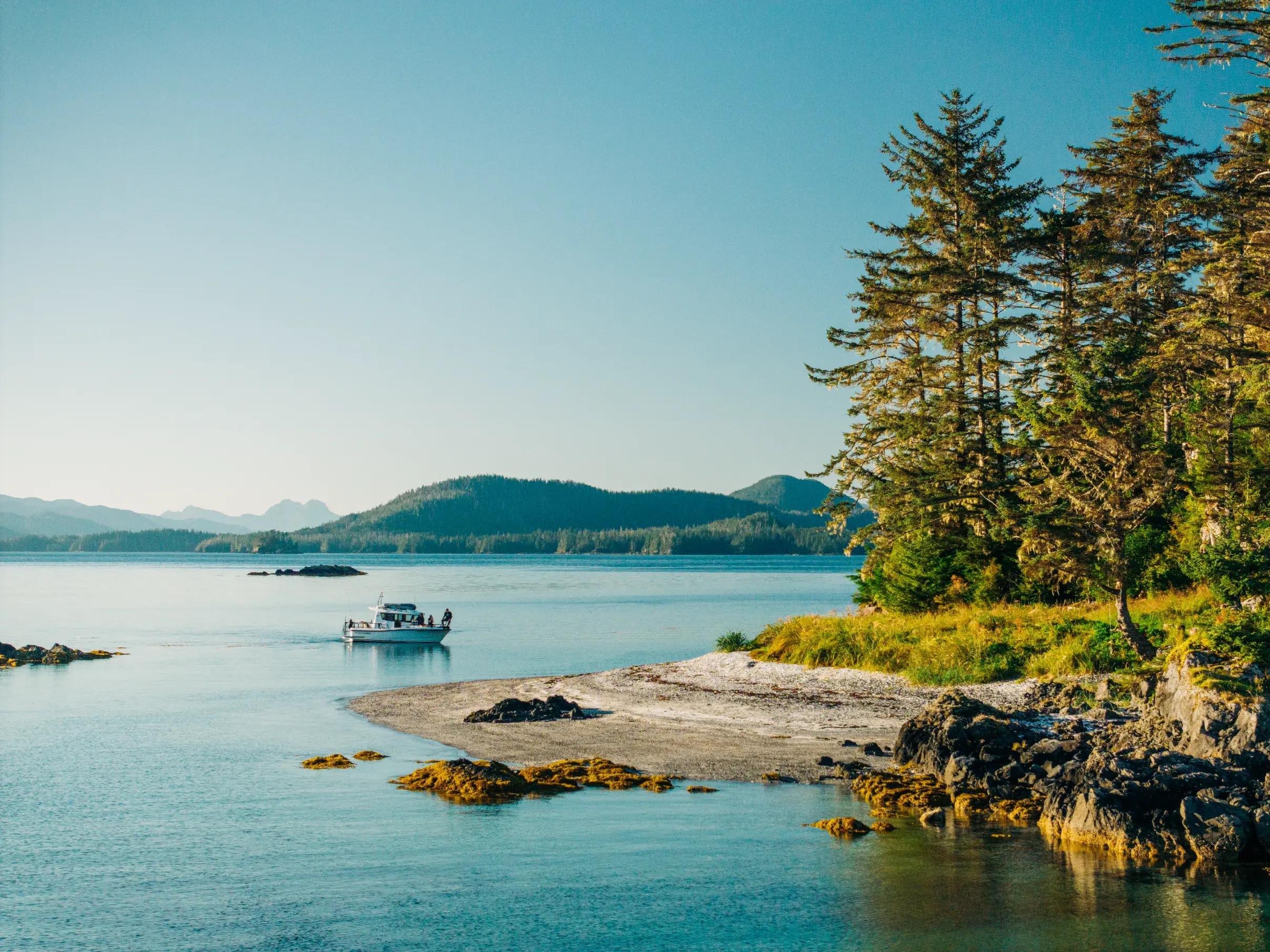 Sitka Wildlife & Island Exploration by Boat