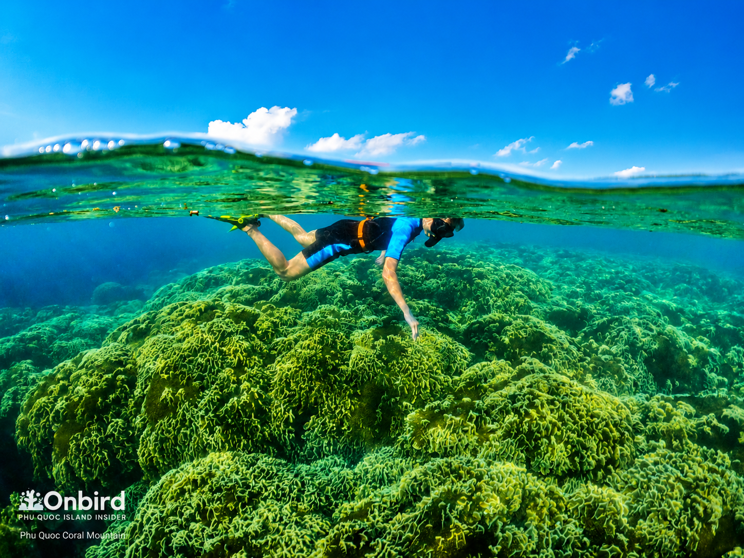 Small-Group Snorkeling Safari: 4 Islands & 2 Coral Reefs