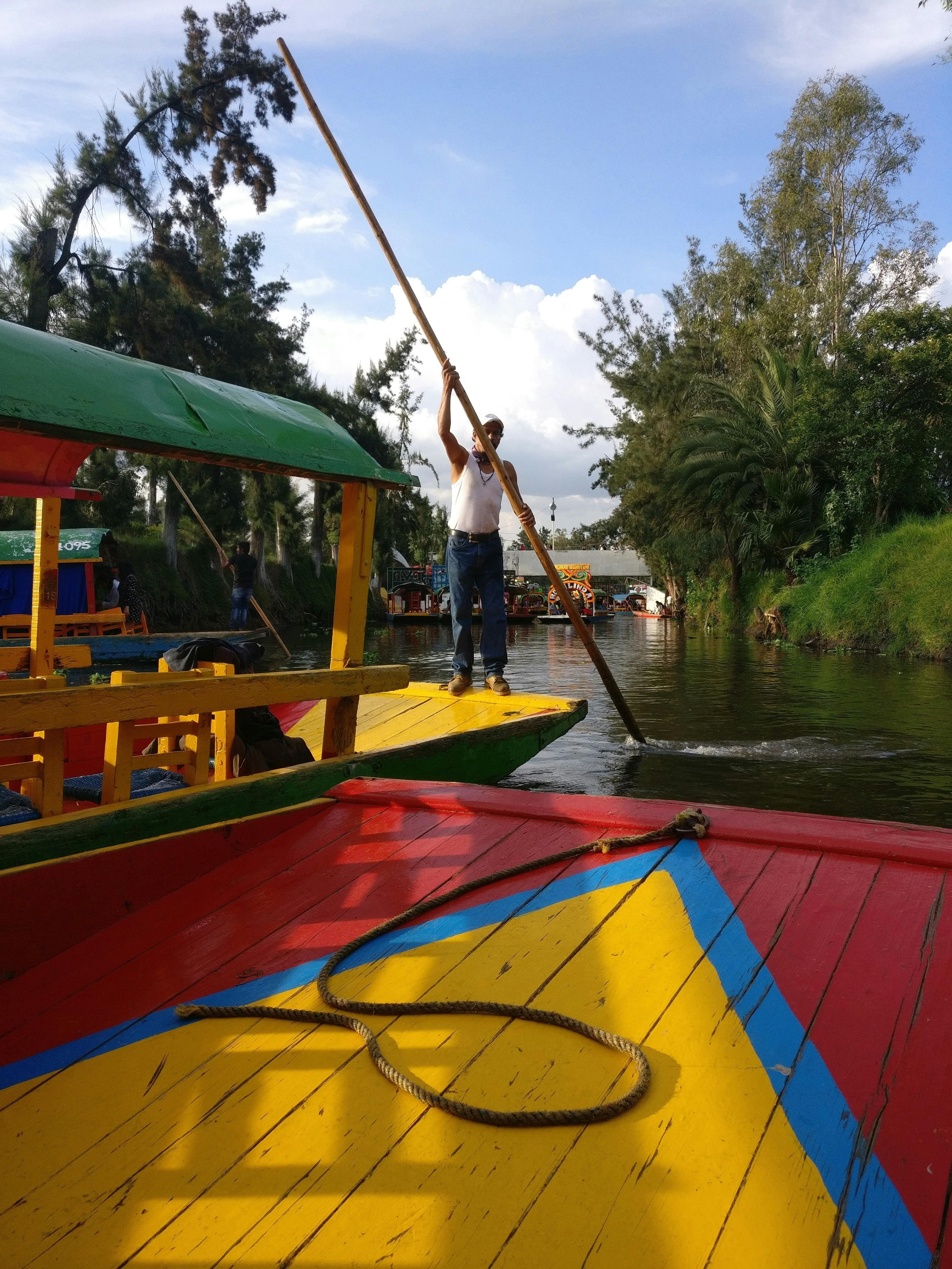 Mexico City Cultural Full-Day Tour: Xochimilco, UNAM & Coyoacán