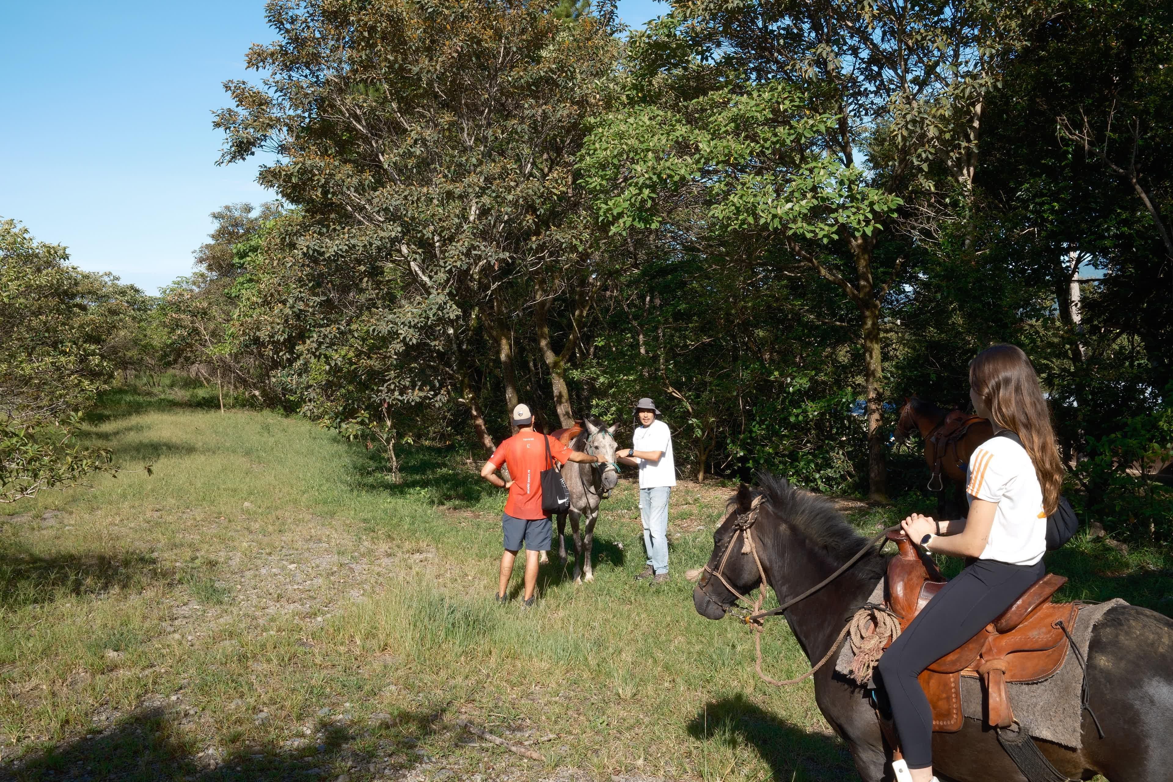 Cloud Forest Horseback Ride in Boquete