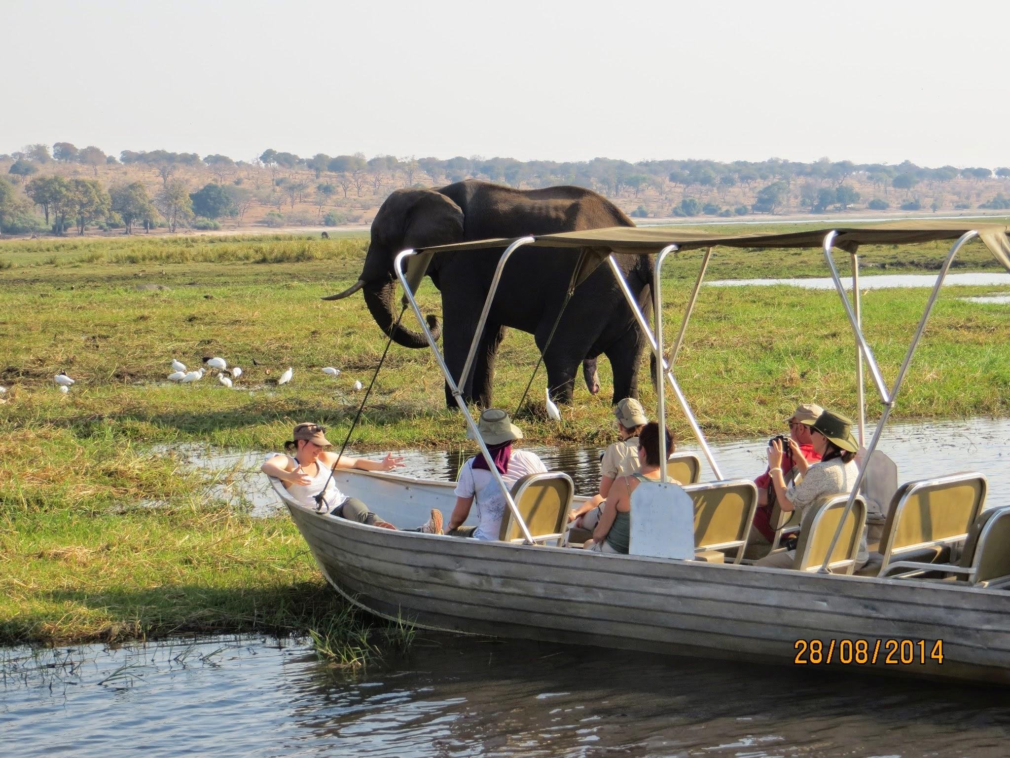 Chobe National Park Safari from Victoria Falls