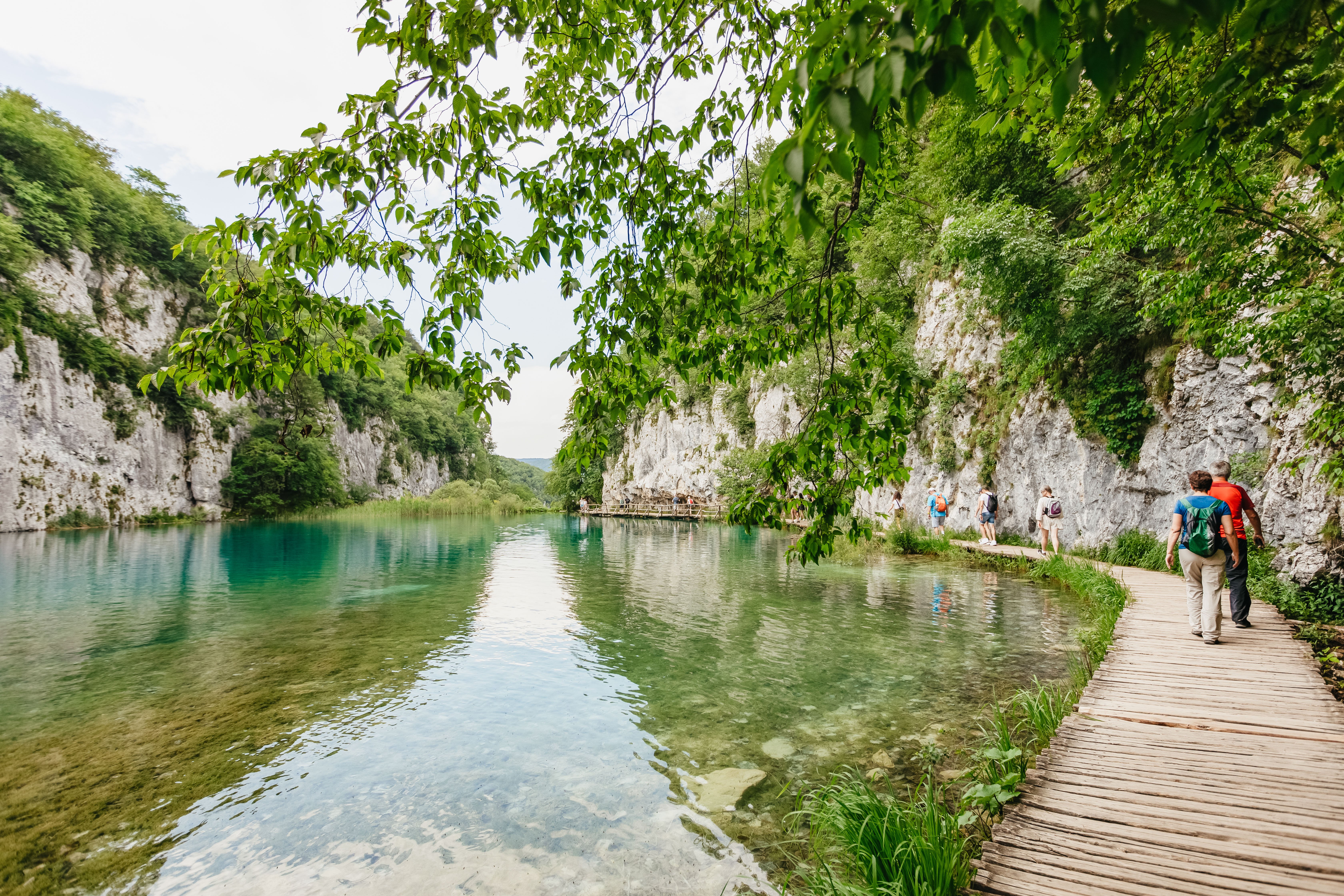 Split to Plitvice Lakes National Park Guided Day Trip