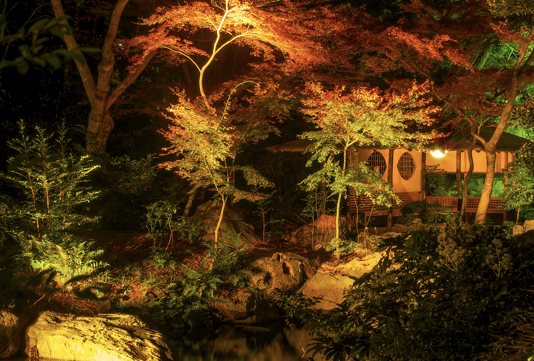 Tokyo Shinjuku After-Dark Private Tour: Golden Gai, Karaoke & Neon Streets