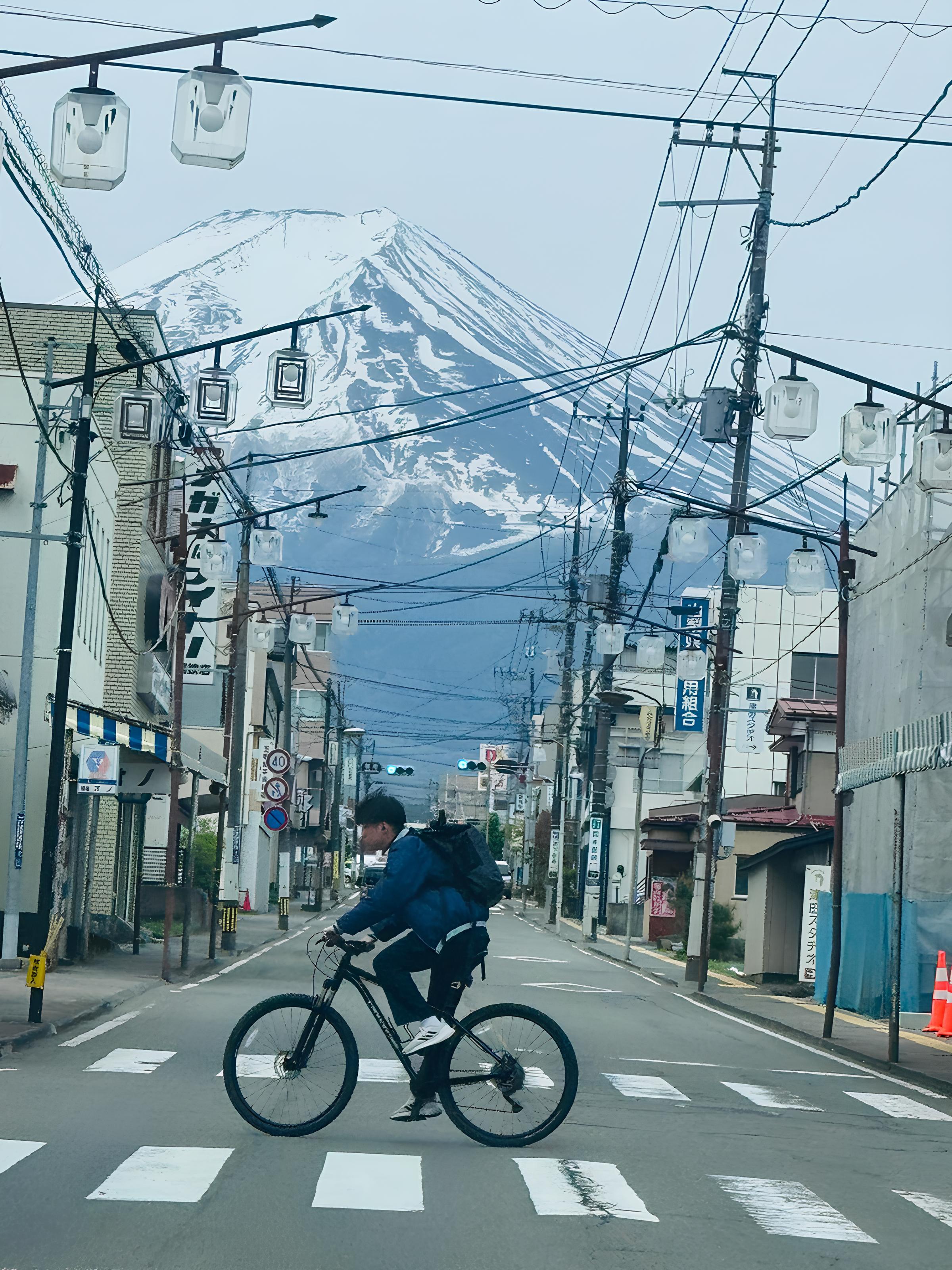 Tokyo: Mt. Fuji & Hakone Private Custom Tour English Driver
