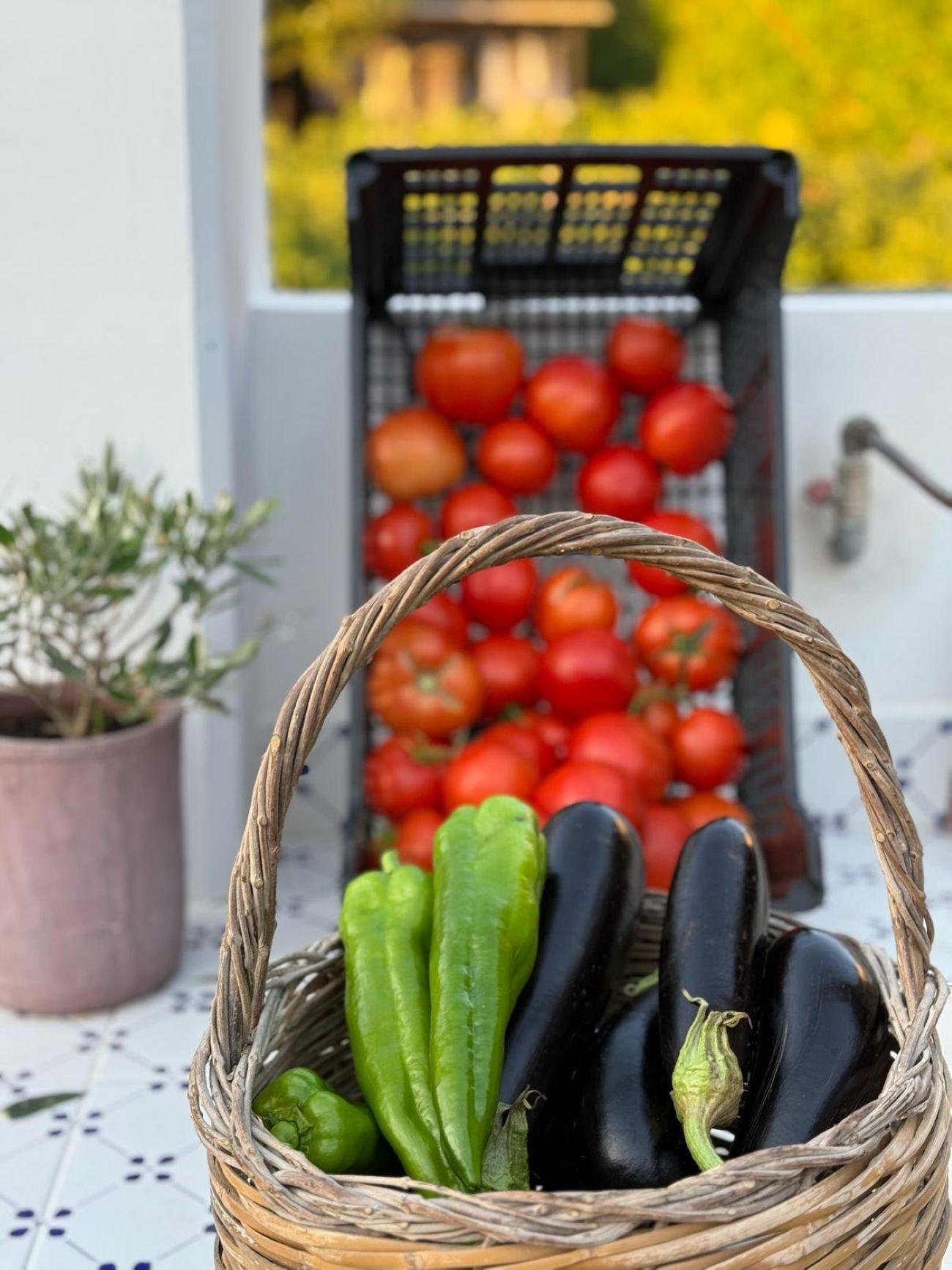 Capri Cooking Class at Villa Pasquale with Resident Chef