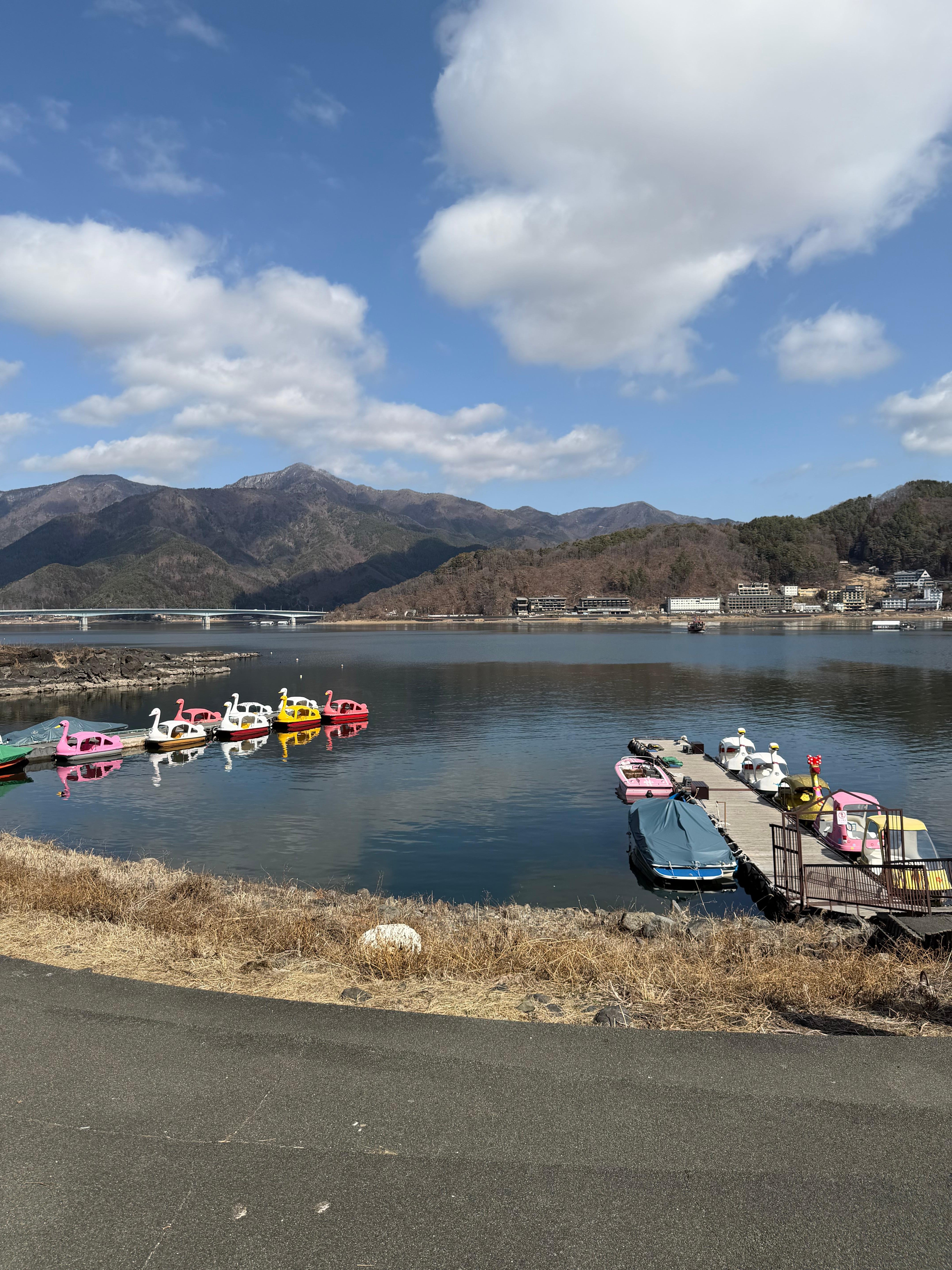 Tokyo to Mt. Fuji & Hakone: Private Full-Day Tour with English Driver