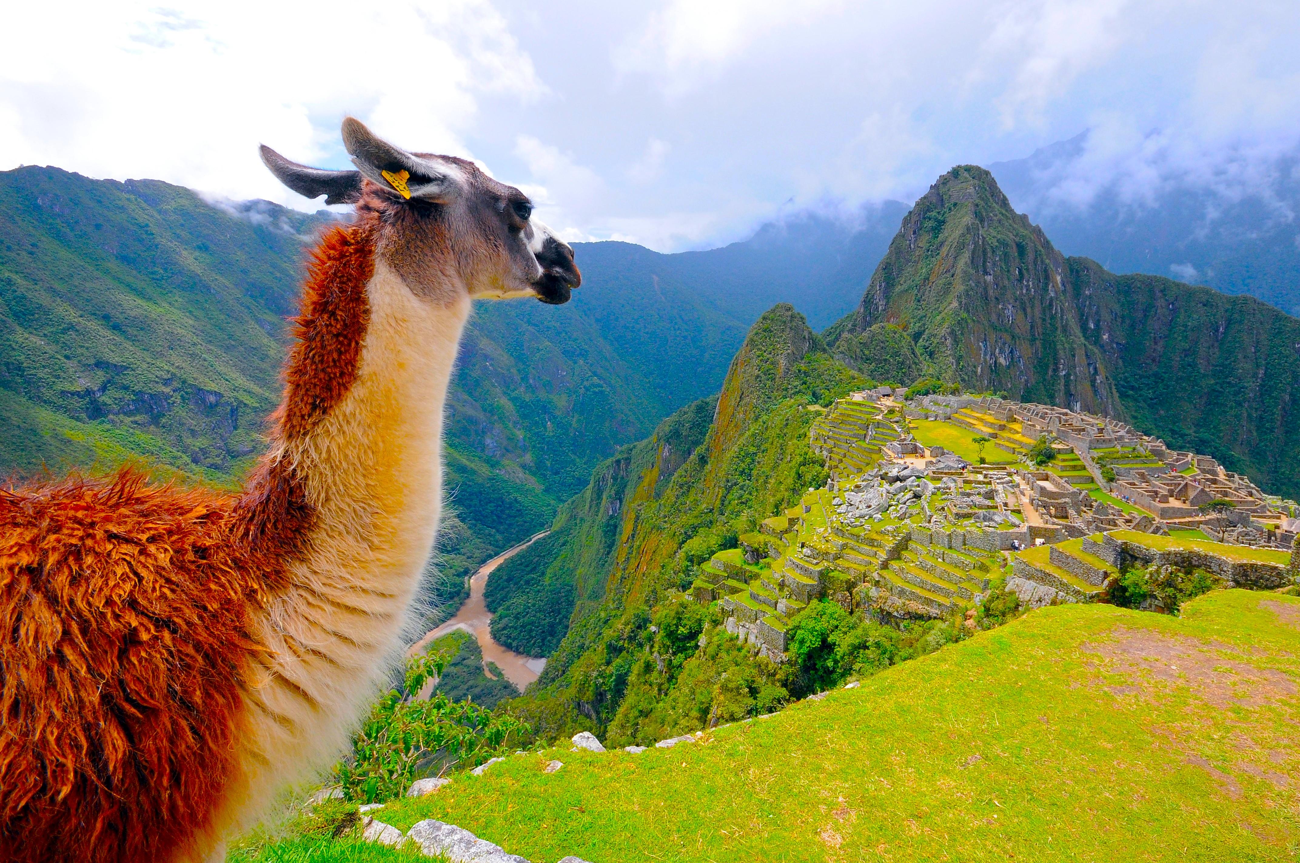 Machu Picchu Circuit 2 Official Entrance Ticket