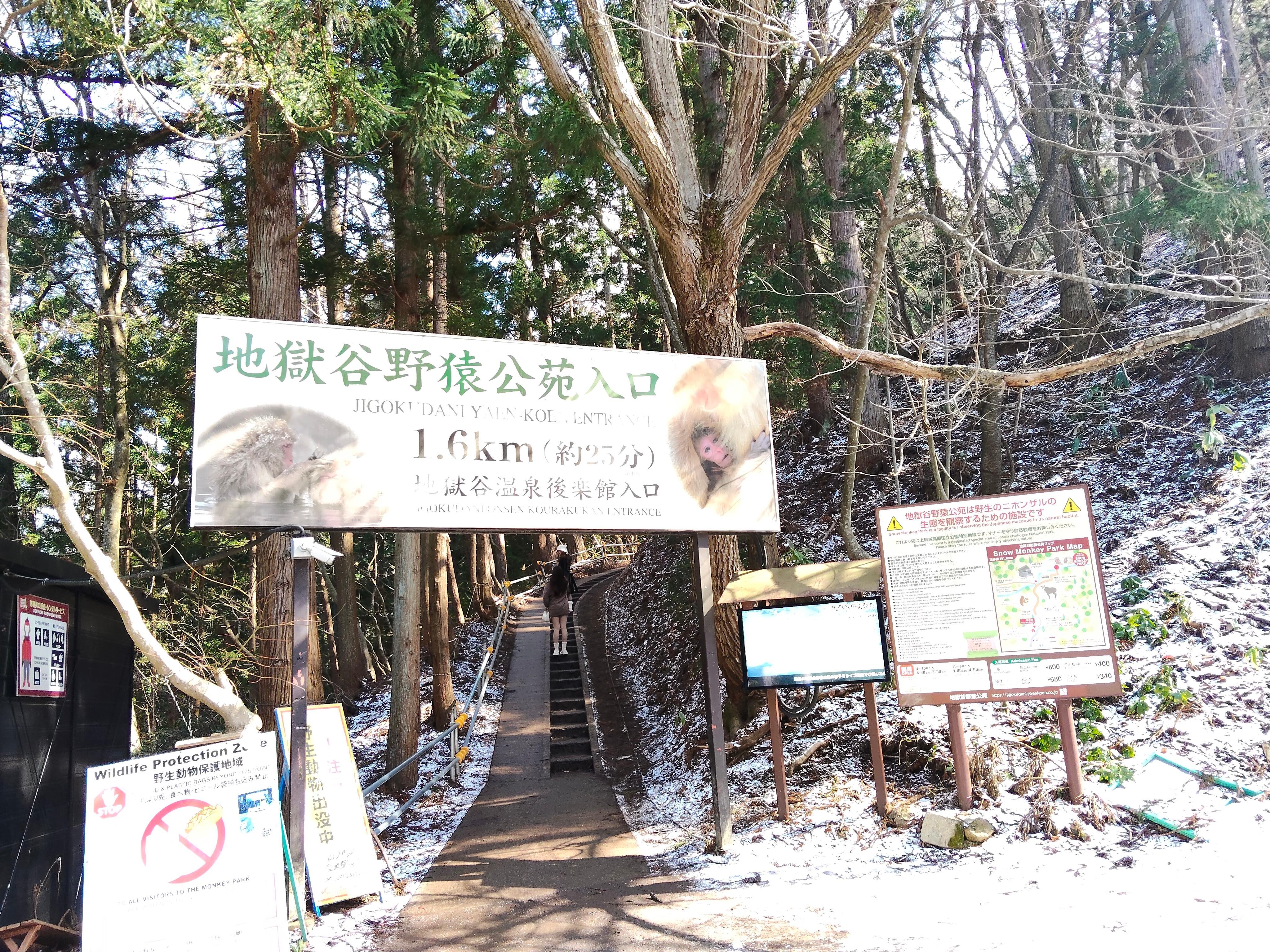 Nagano Snow Monkey & Obuse Cultural Day Tour