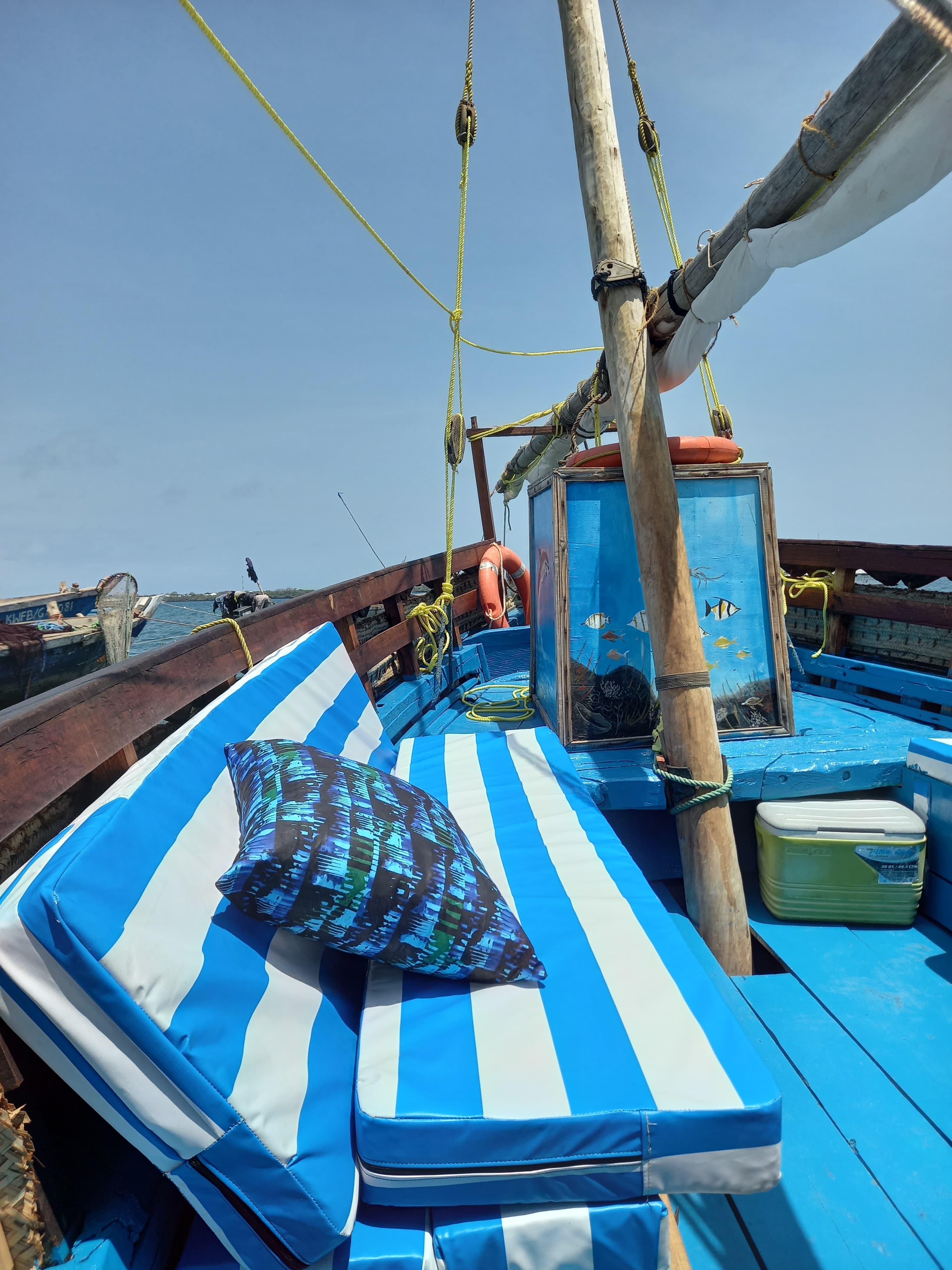 Wasini Island & Kisite Marine Park Dolphin Safari