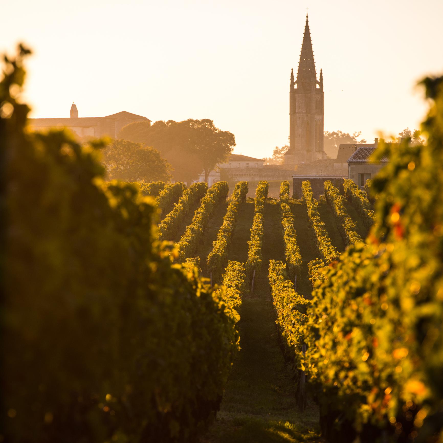 Private Saint-Émilion Wine Tour from Bordeaux
