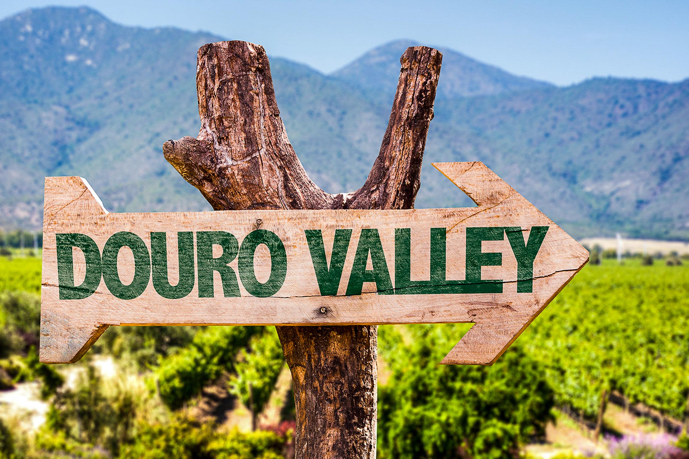 Douro Valley Day Trip: Boat Cruise, Wine Tasting & Traditional Lunch from Porto