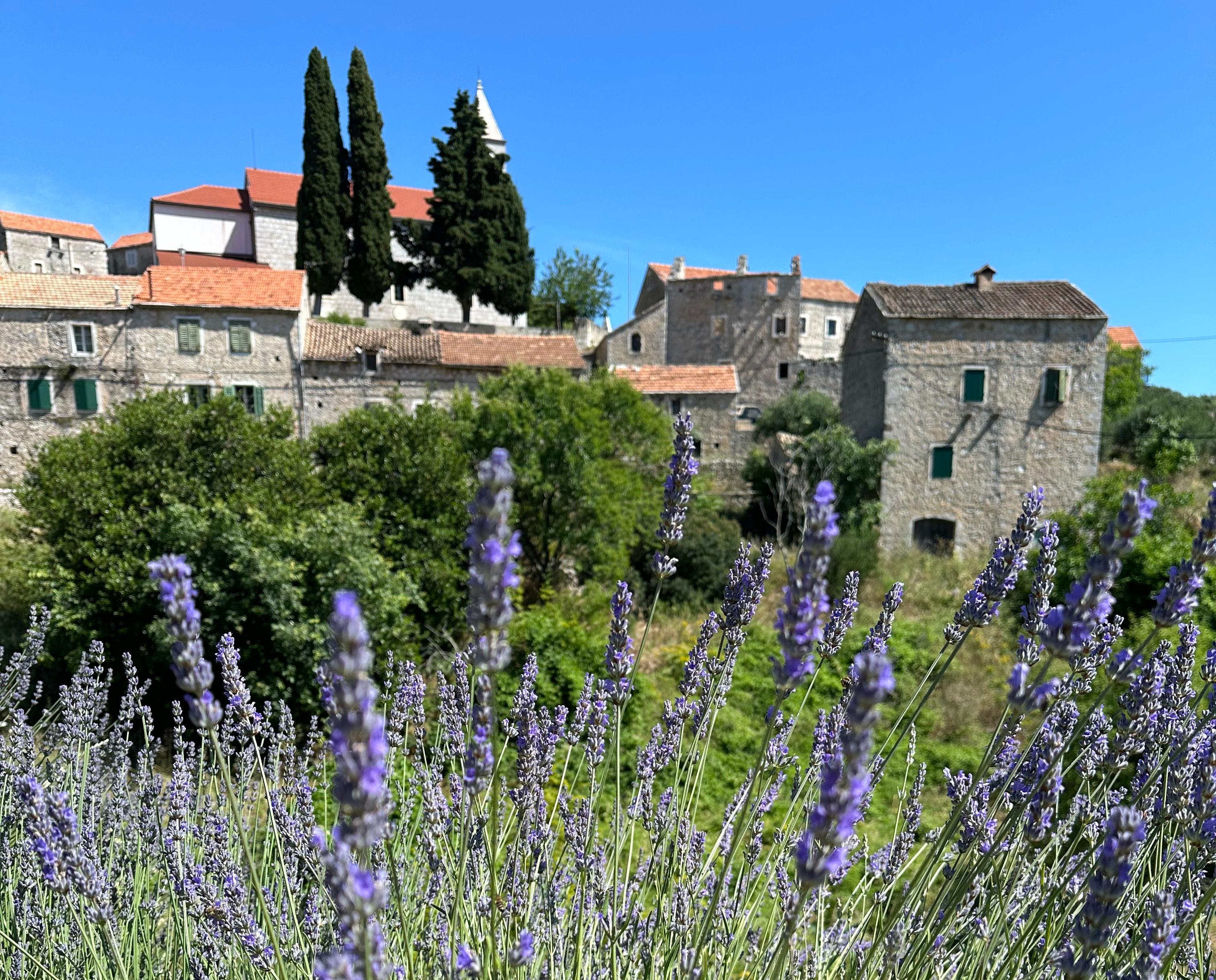 Hvar Rural Heritage & Traditional Peka Feast
