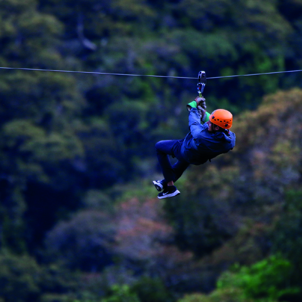 Boquete Cloud Forest Zipline Adventure