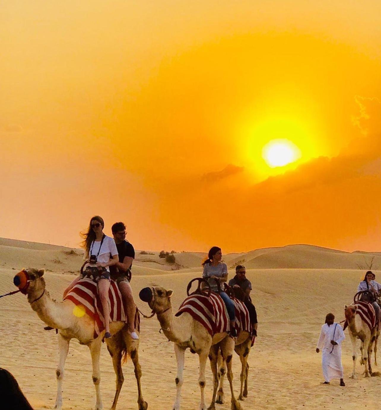 Doha Desert Adventure: Dune Bashing, Camel Rides & Sandboarding
