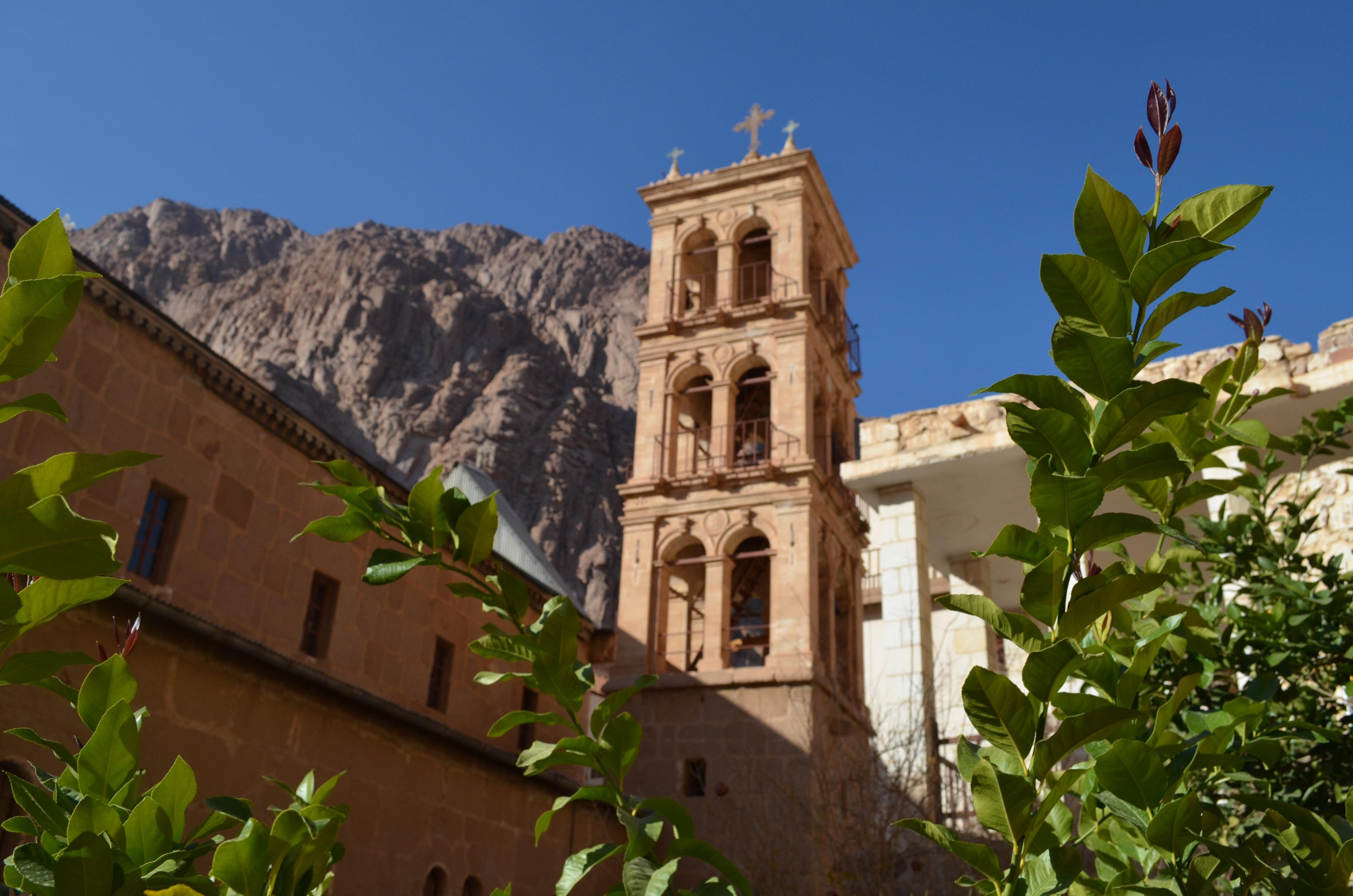 Sharm El Sheikh: Private Day Tour to Saint Catherine's Monastery