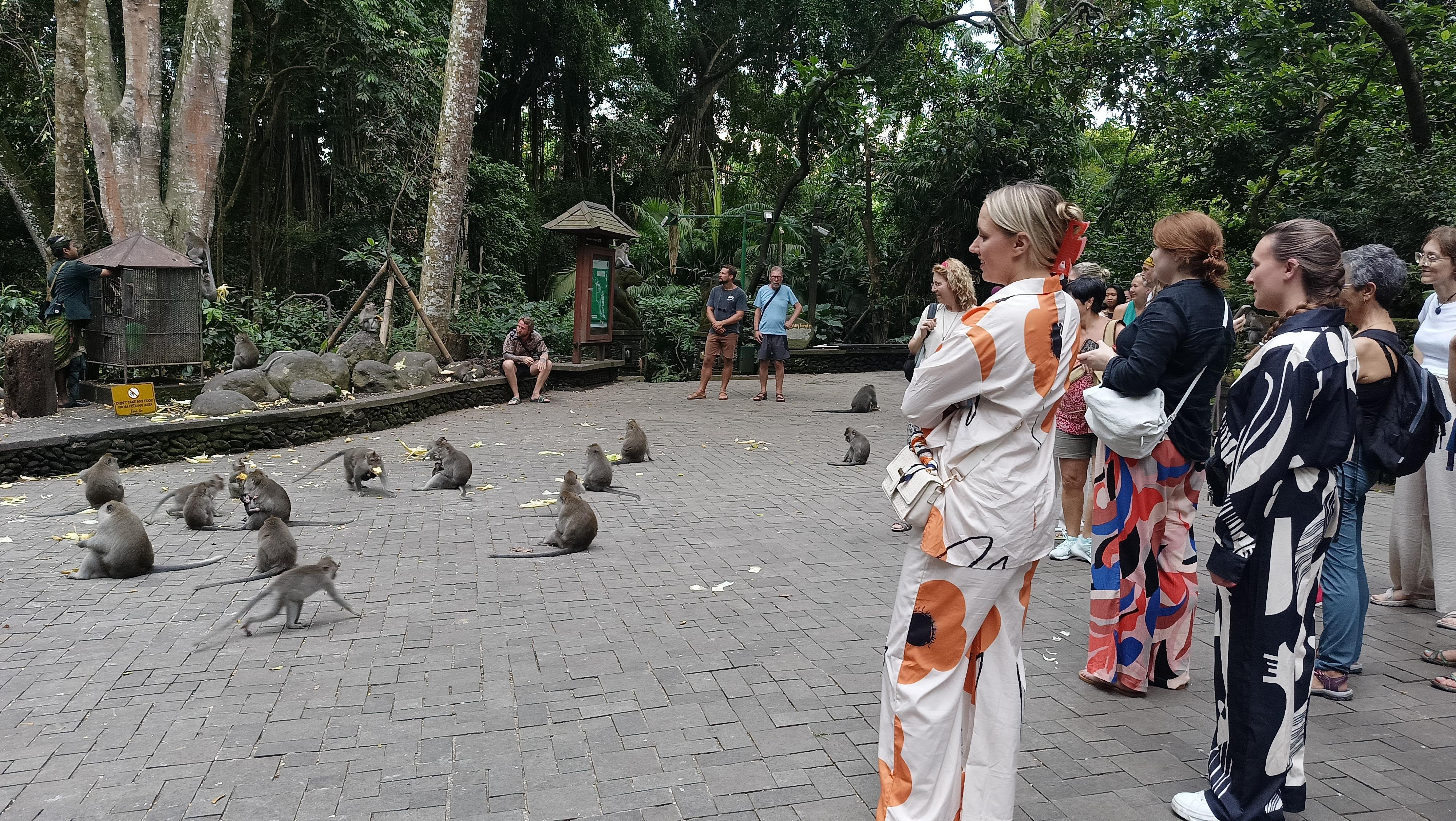 Ubud Cultural Discovery: Sacred Springs, Rice Terraces & Waterfalls