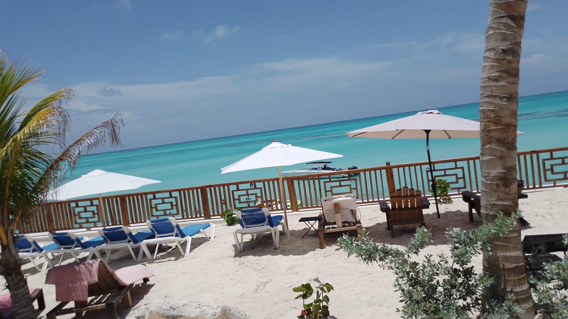 Nassau 3-Island Speedboat Adventure: Pigs, Turtles & Snorkeling