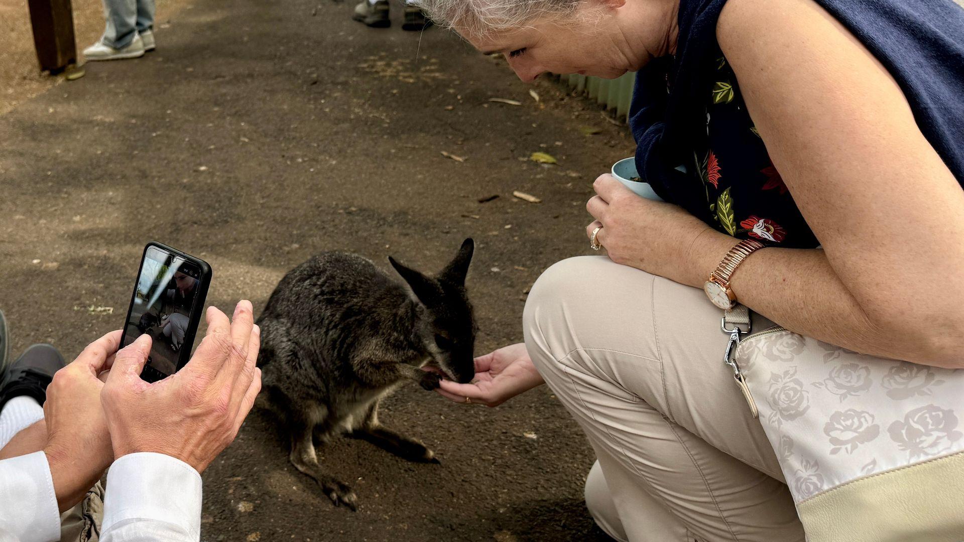 Private Sydney Coast & Taronga Zoo Keeper Experience