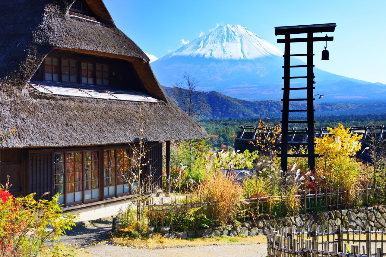 Mt Fuji day trip from Tokyo — image 57