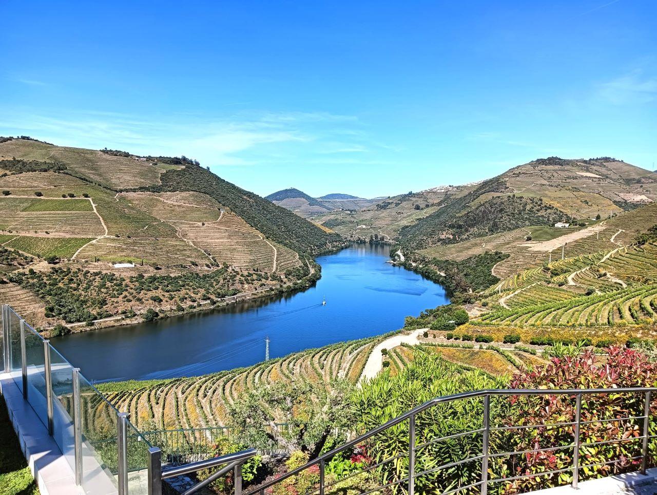 Douro Valley Small-Group Wine & River Cruise Day Trip from Porto