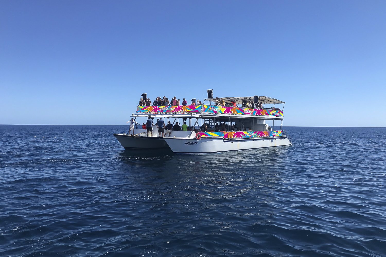 Cabo San Lucas Whale Watching Breakfast Cruise