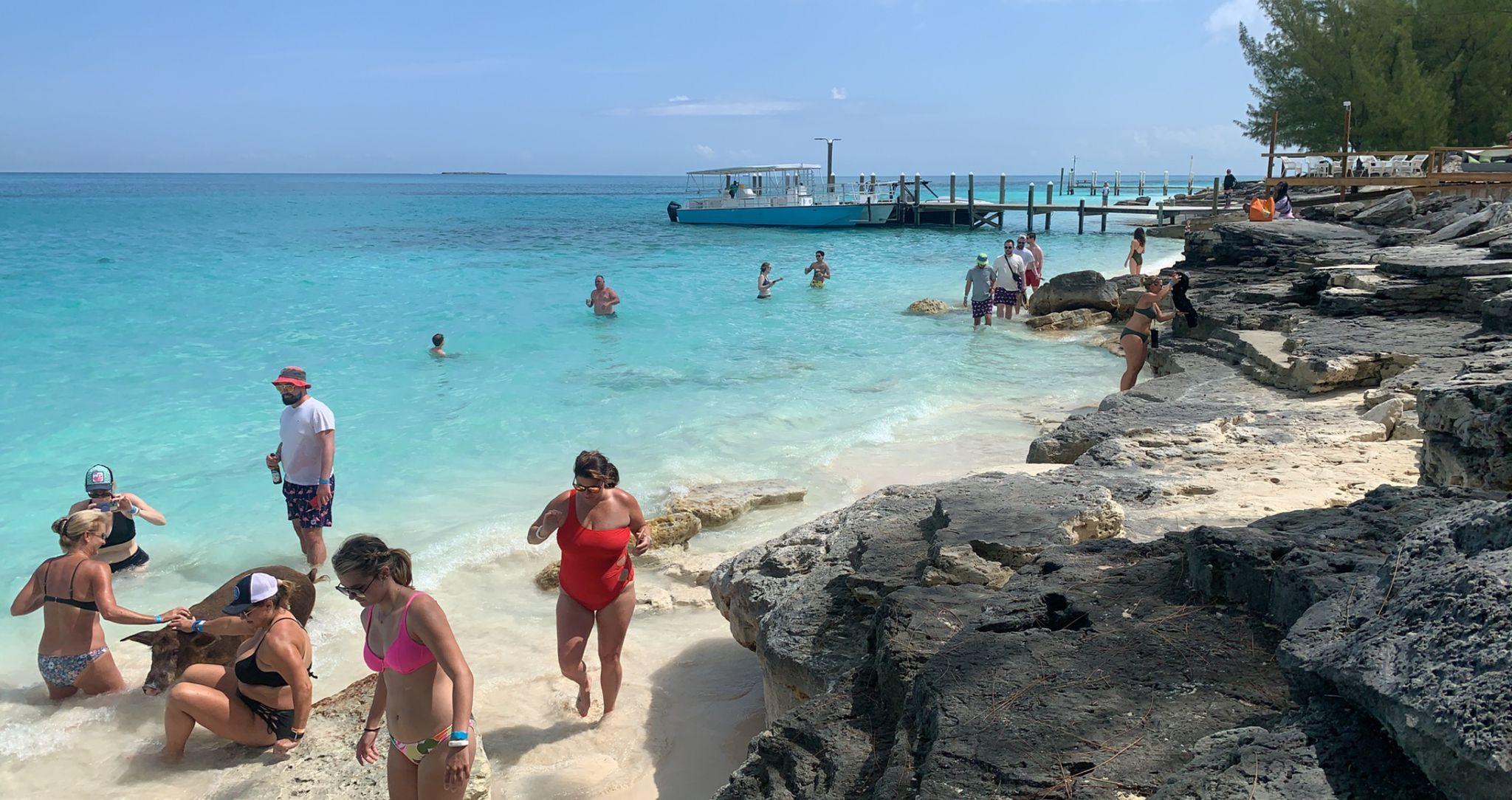 Nassau 3-Island Speedboat Adventure: Pigs, Turtles & Snorkeling