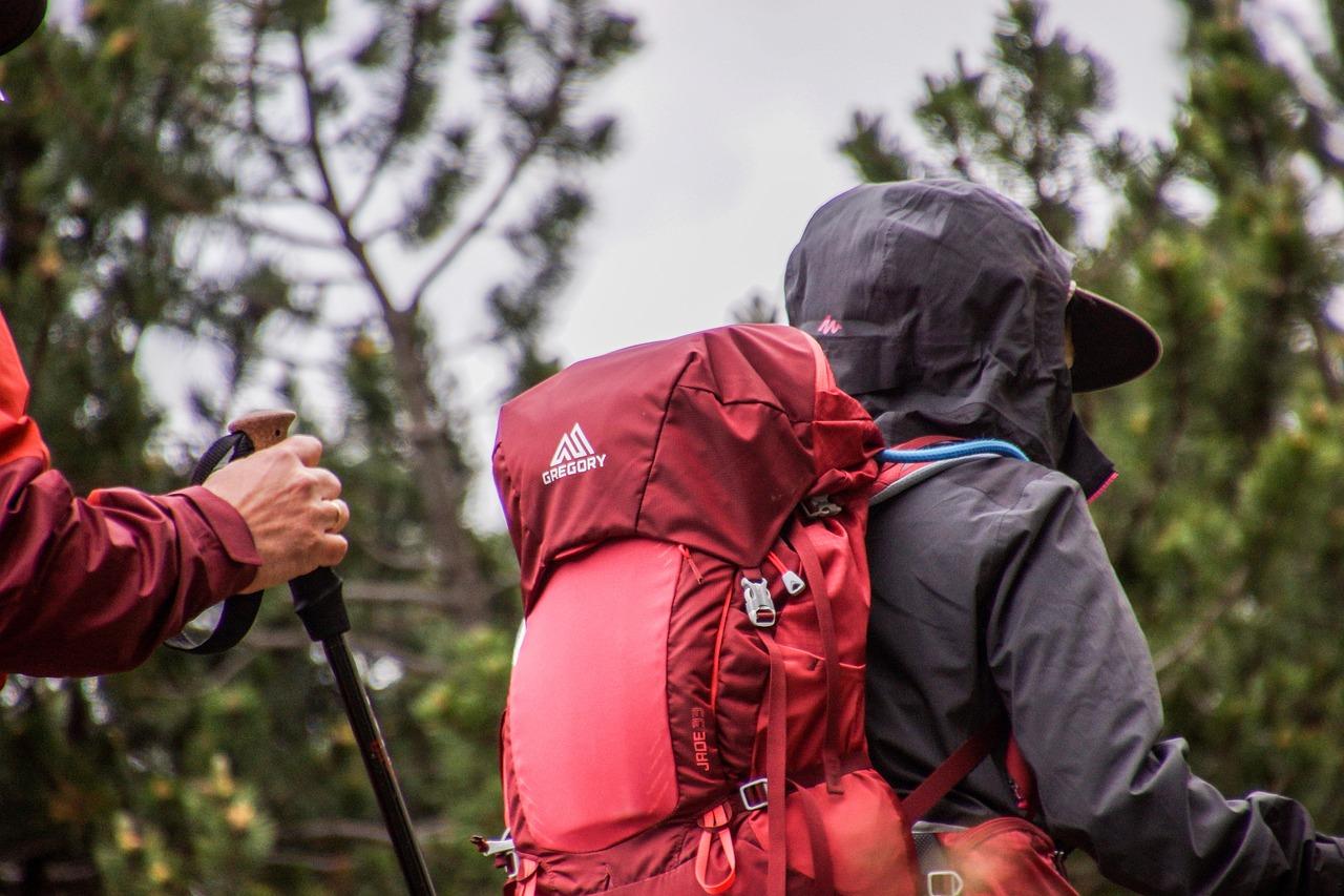 Karura Forest Nature Hiking Expedition