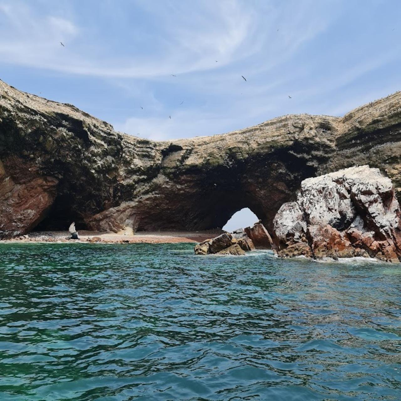 Excursión de un día a Paracas y Huacachina: vida silvestre, aventura en el desierto y cata de vinos