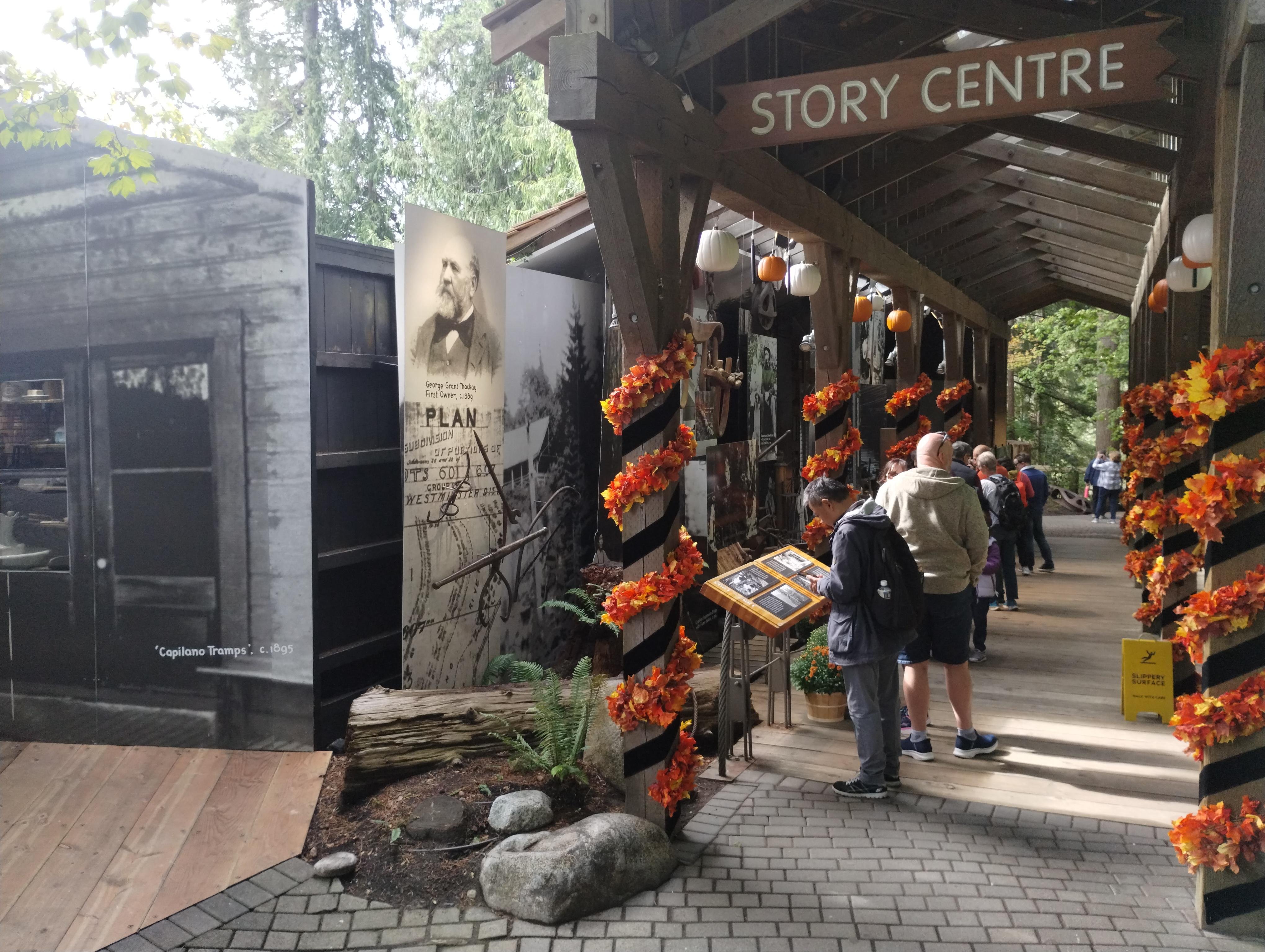 Capilano Suspension Bridge & Stanley Park Small Group Tour