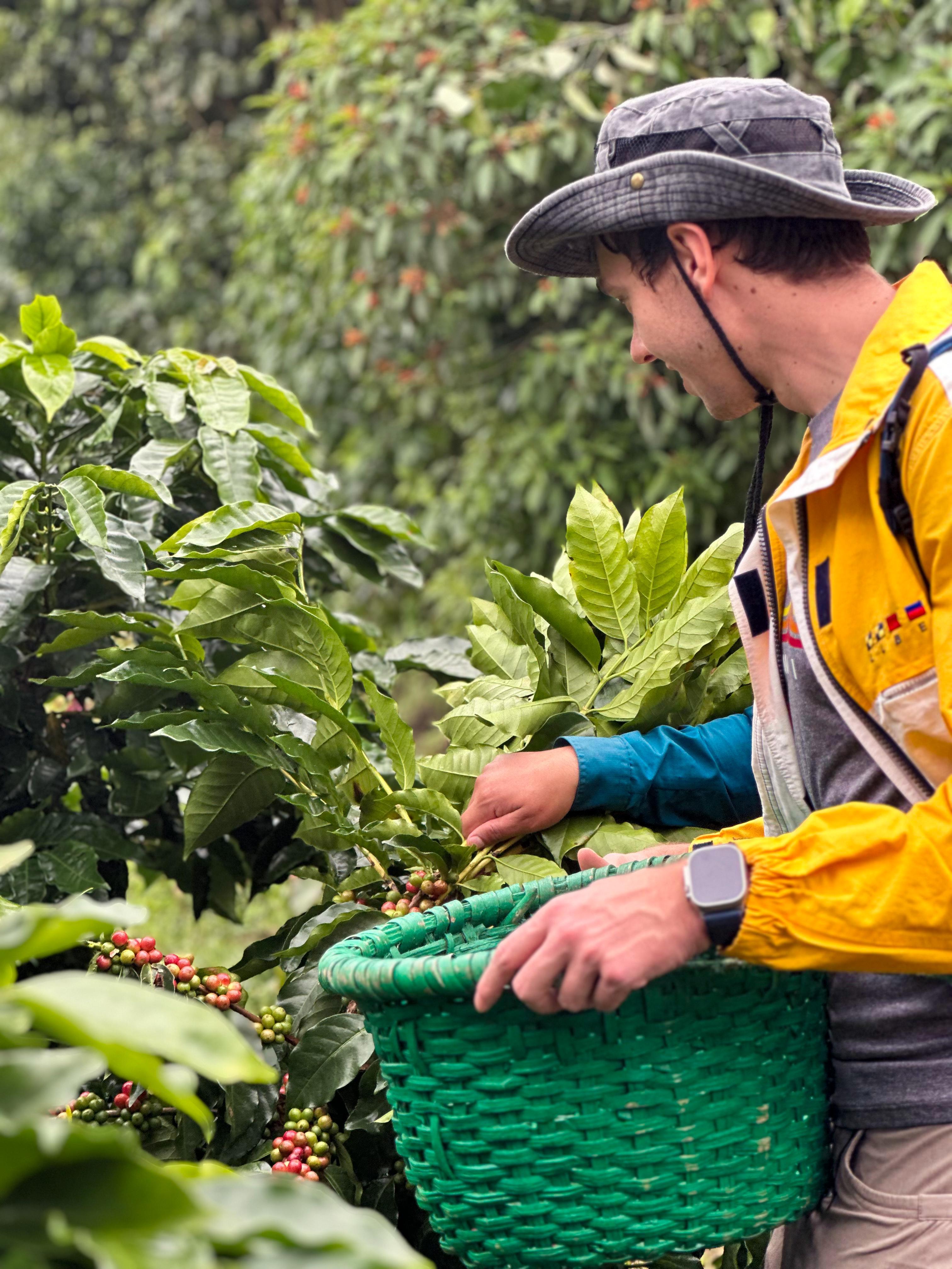 Monteverde Coffee Farm & Roastery Tour with Tasting