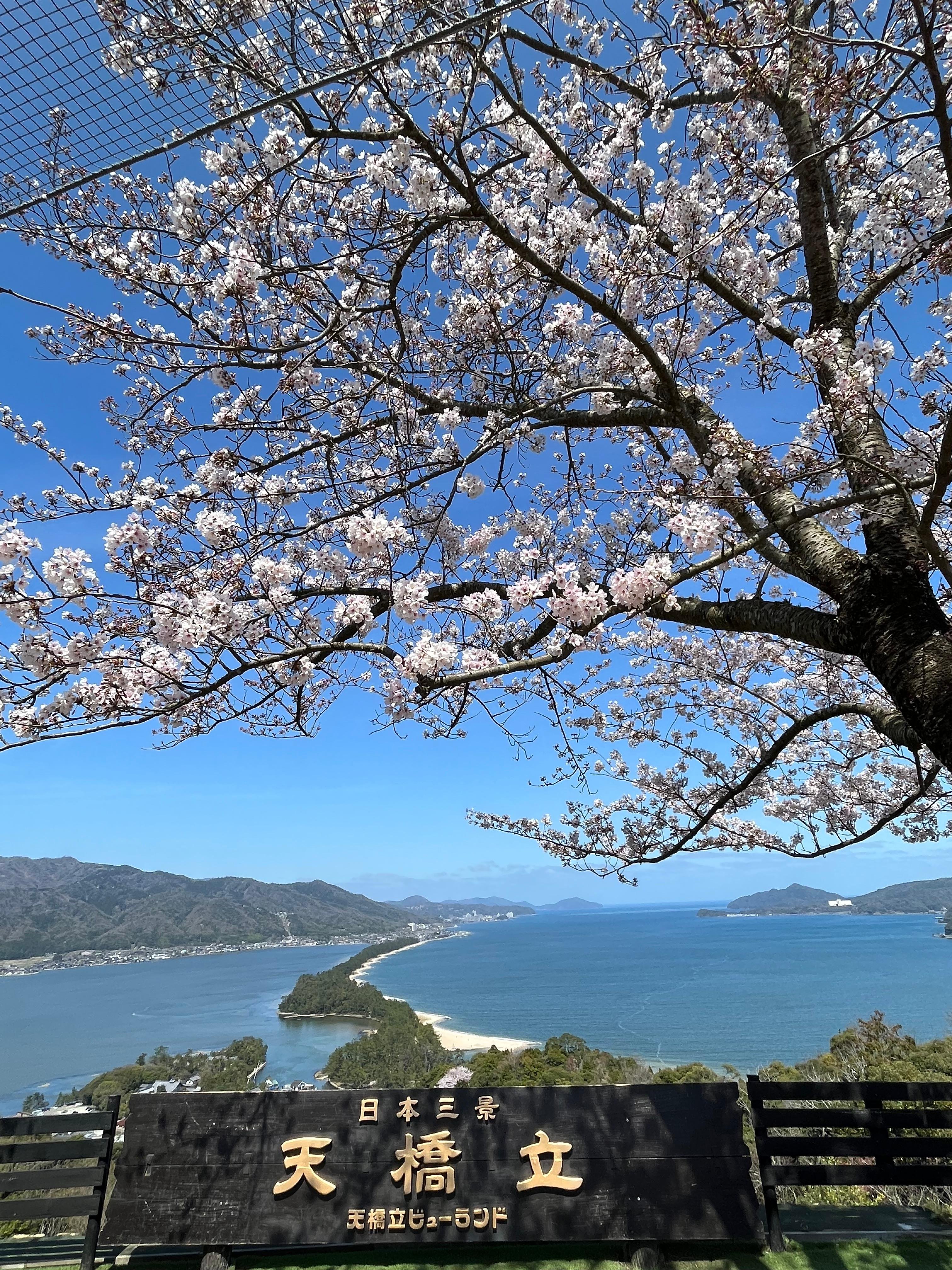 Amanohashidate & Ine Fishing Village Day Trip