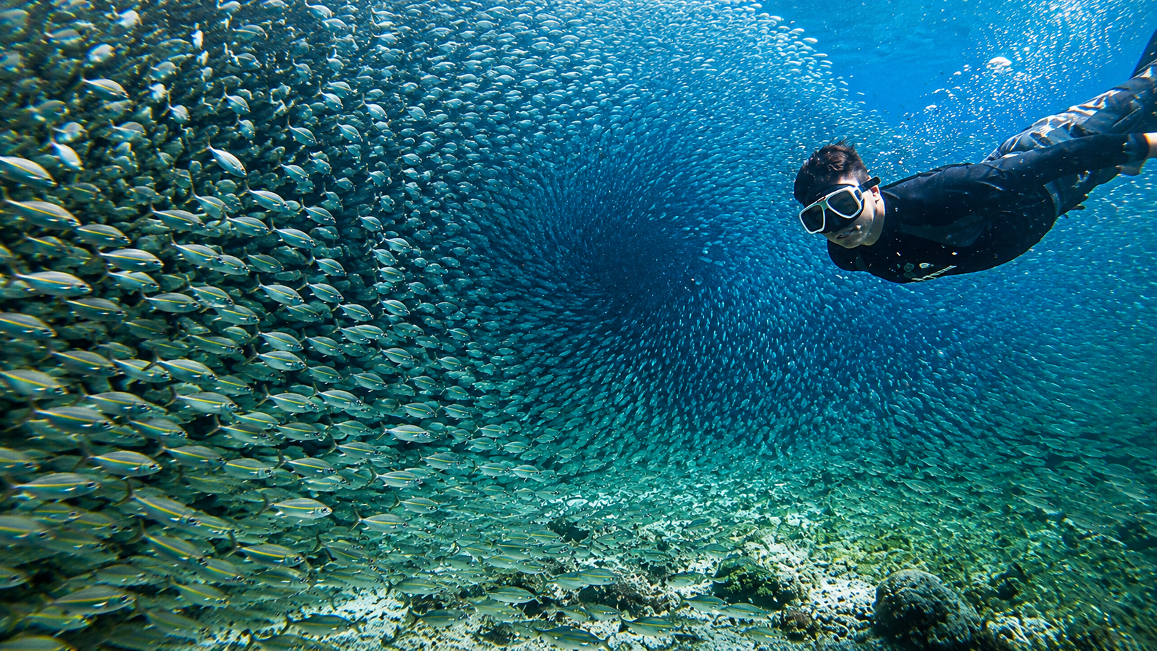 Oslob Whale Shark, Inambakan Falls & Moalboal Private Expedition