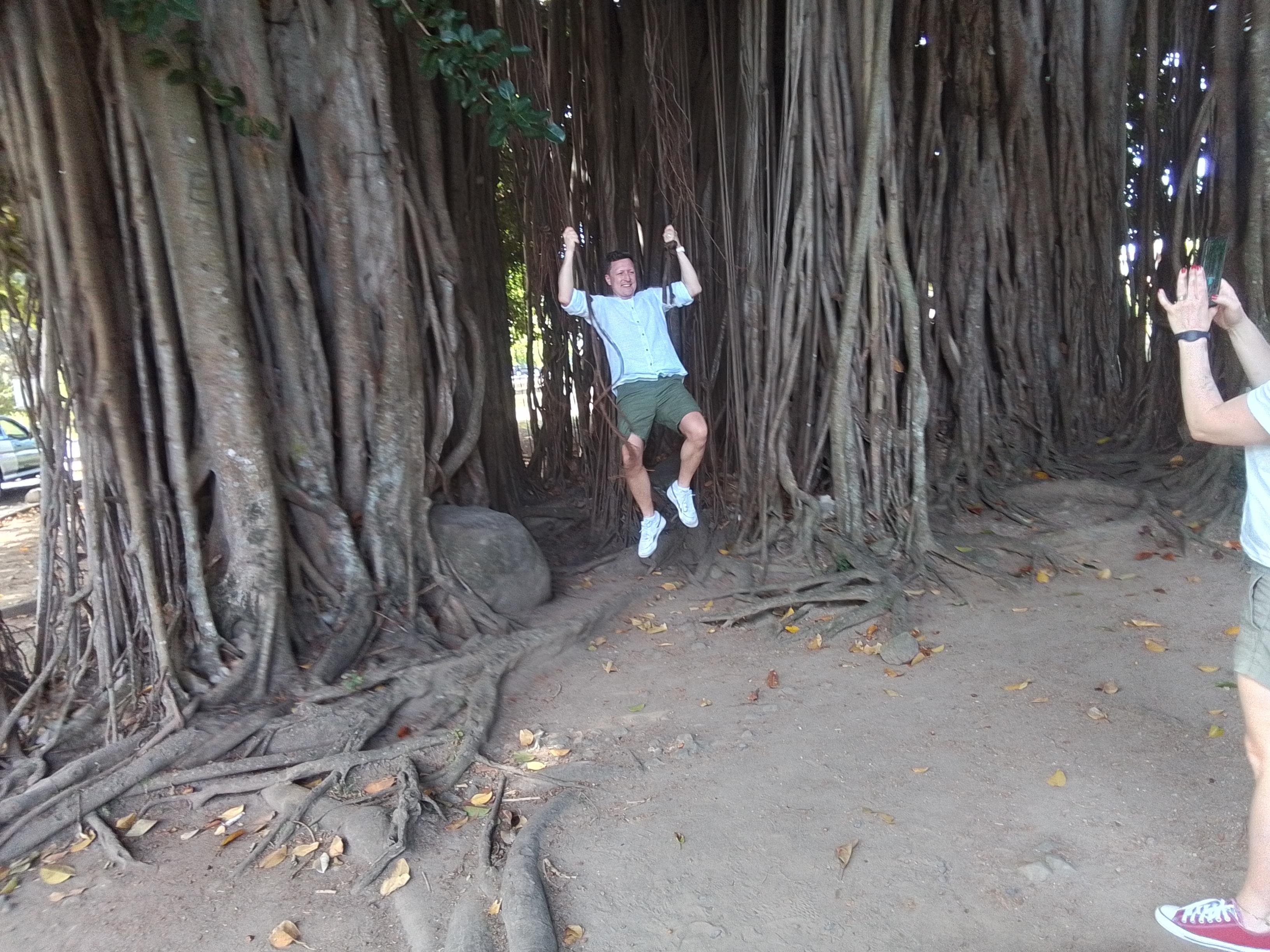 Trafalgar Waterfalls & Sulphur Springs Rainforest Adventure