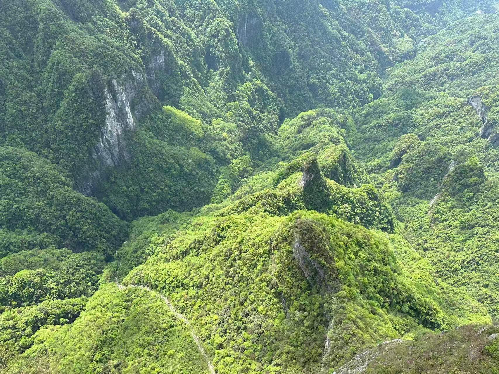 Zhangjiajie: Tianmen Mountain & World's Longest Cable Car Experience