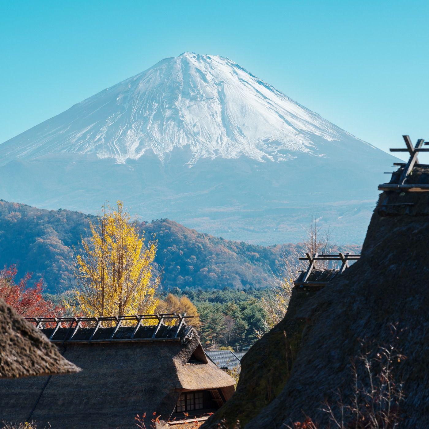 Mount Fuji Private Day Tour from Tokyo with English-Speaking Driver
