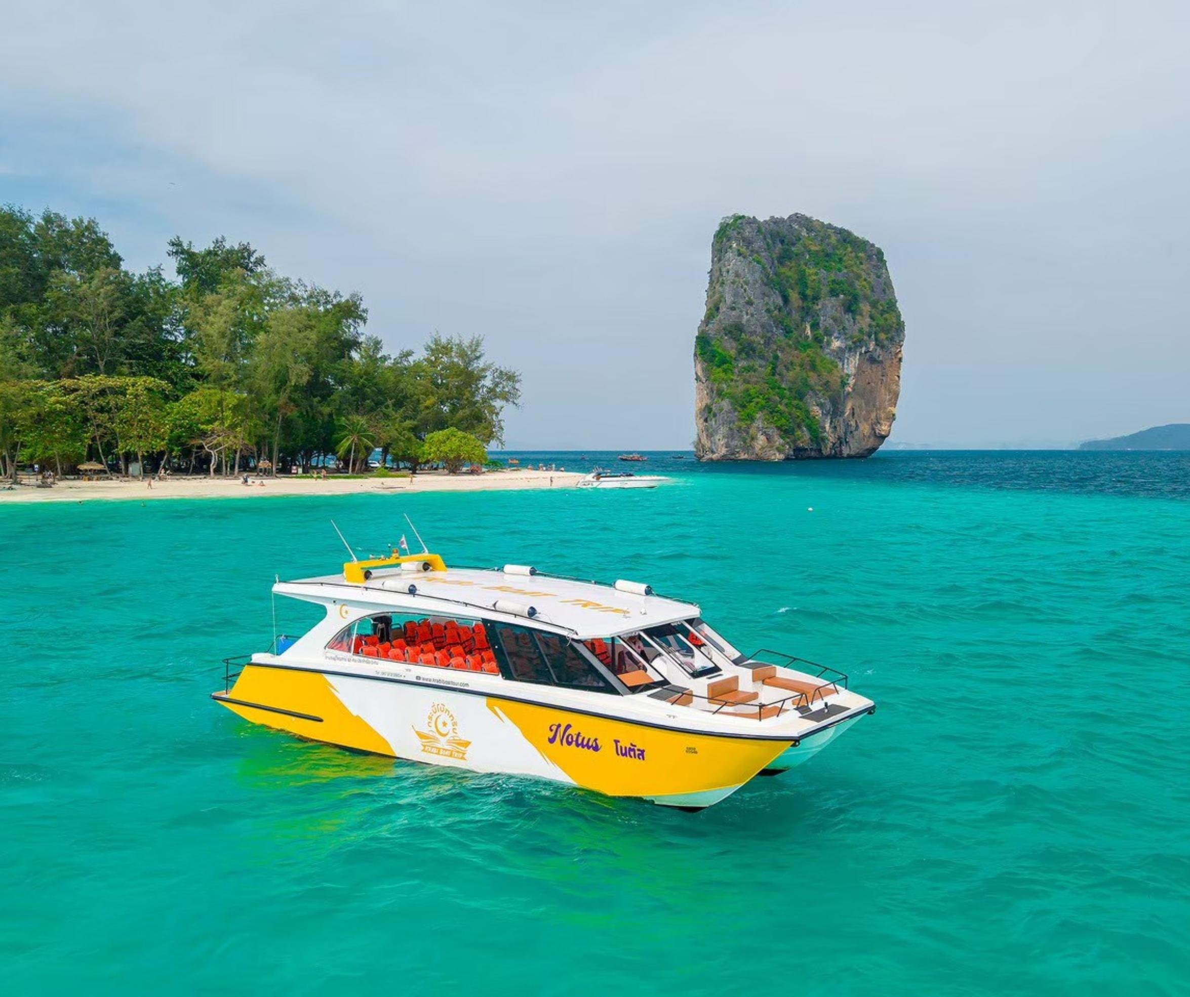 Phi Phi Islands Full-Day Speedboat Adventure with Lunch