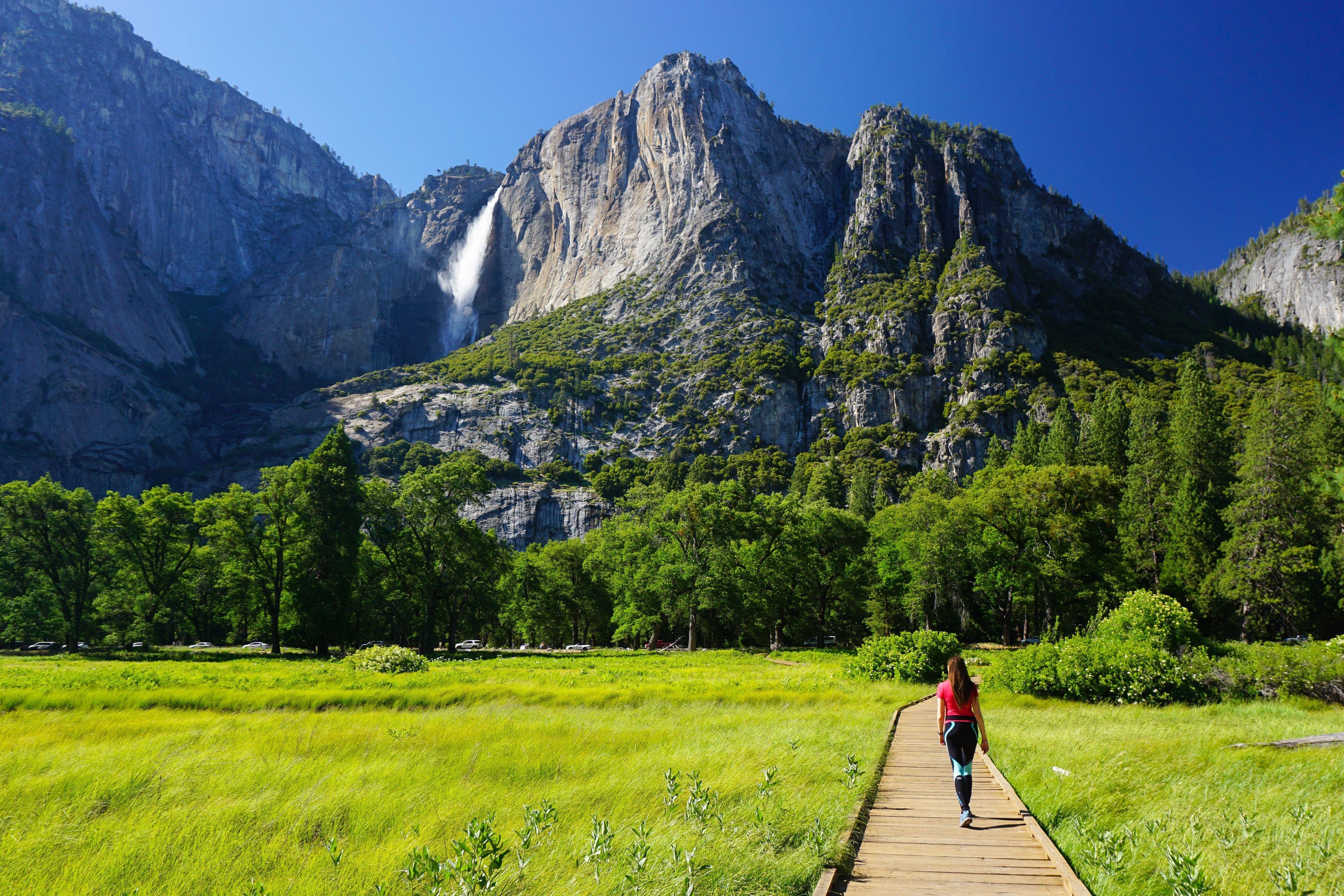 From San Francisco: Day Trip to Yosemite National Park