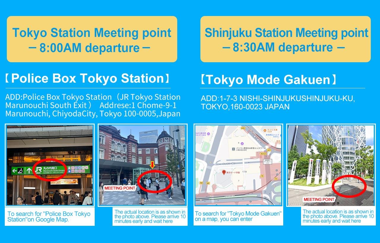 Mount Fuji Day Trip: Scenic Parks, Springs, and Photo Hotspots