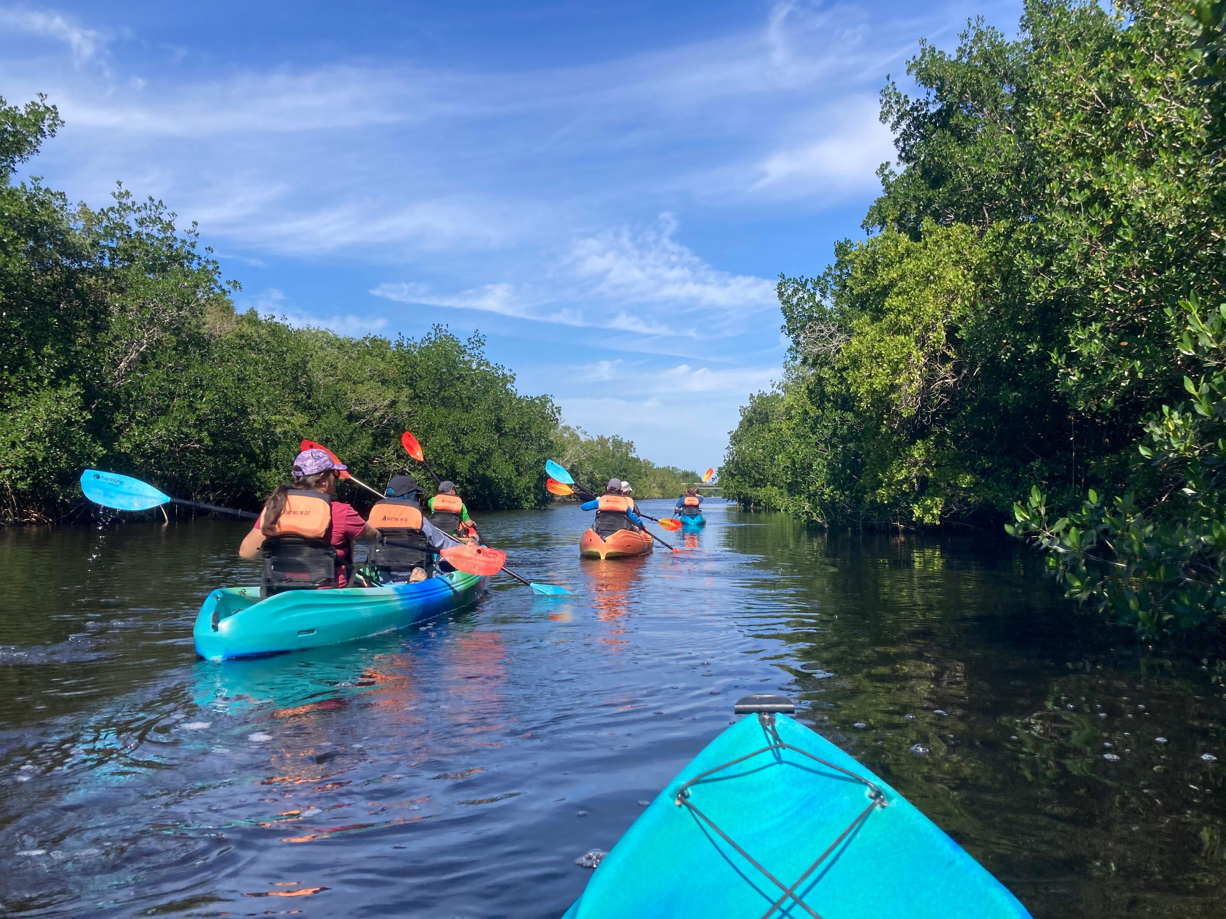 Full-Day Everglades Kayaking & Hiking Expedition from Miami