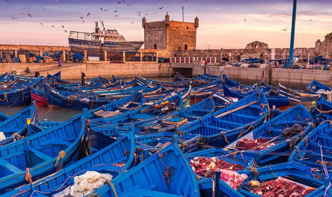 Essaouira Coastal Escape from Marrakech with Lunch