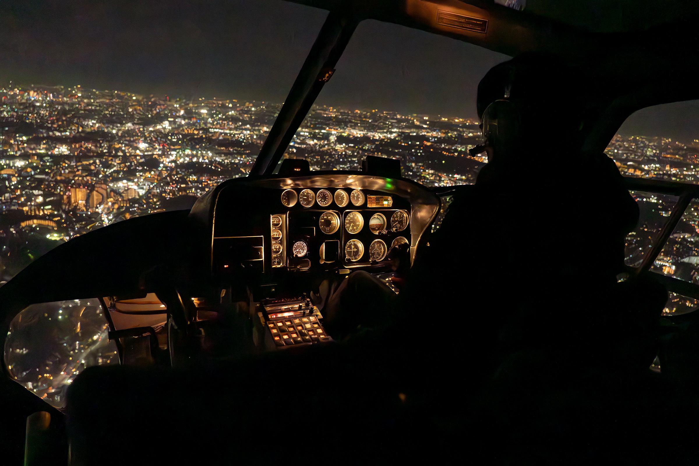 Tokyo helicopter tour view — image 2