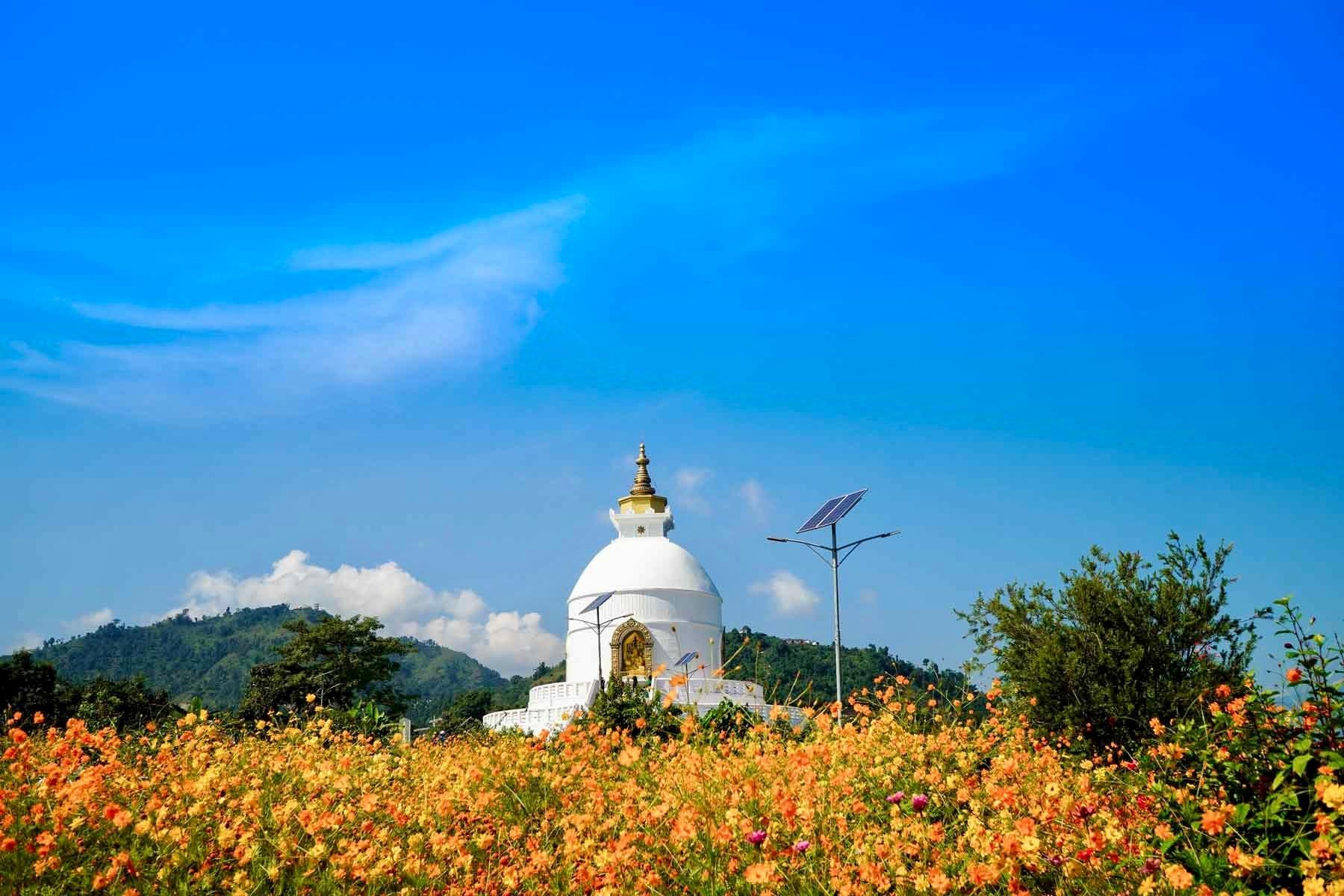 Pokhara Full-Day Highlights Tour: 7 Must-See Attractions