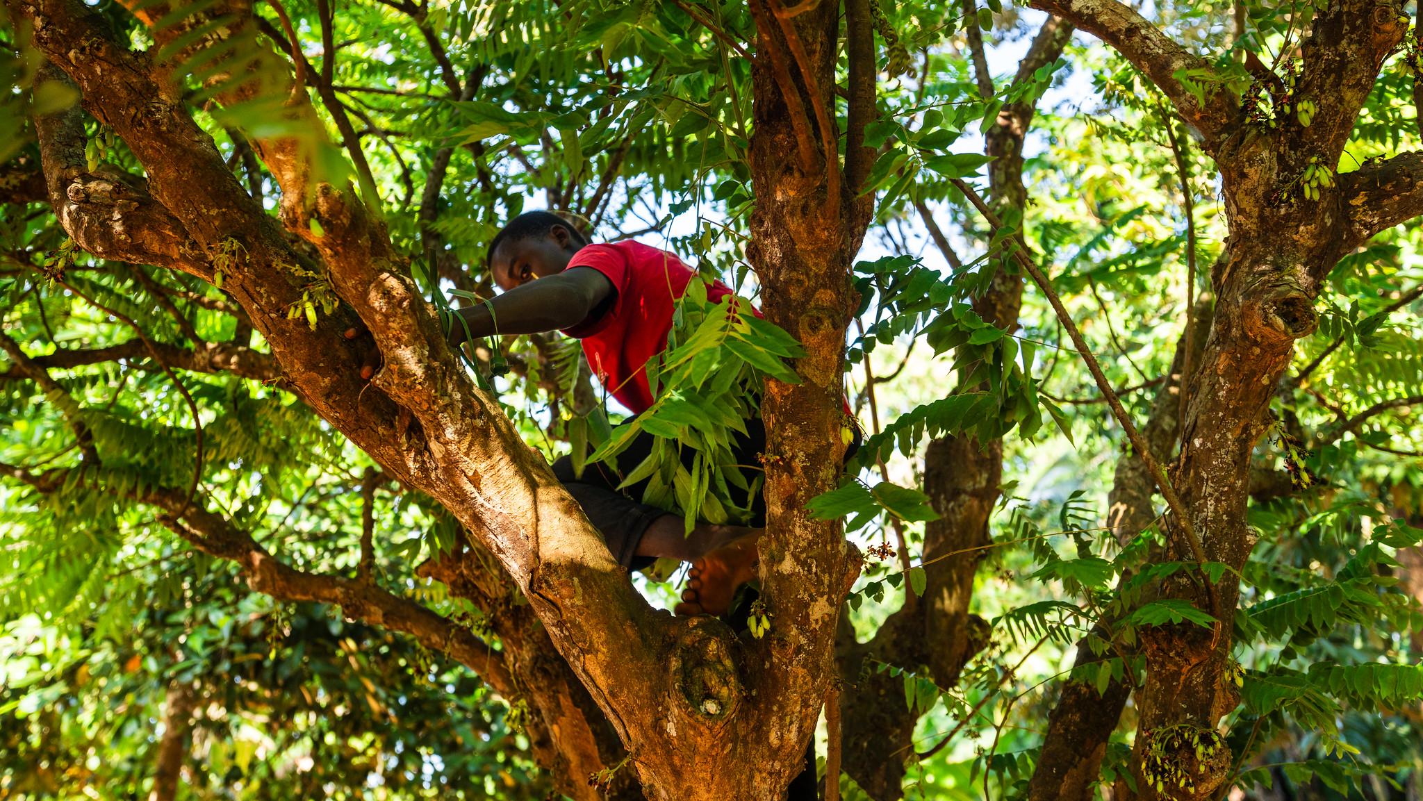 Zanzibar Full-Day Discovery: Stone Town, Spice Farm & Prison Island